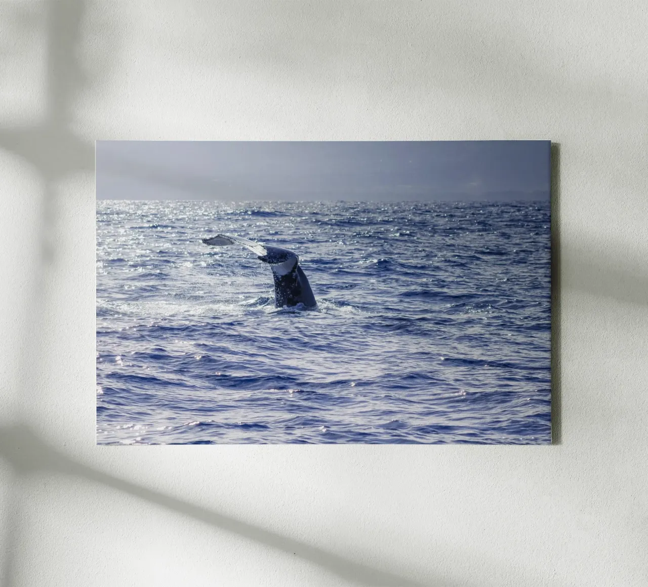 L'immersione delle balene 2 tela con Cornice a cassetta da Léa Lefebvre Photography