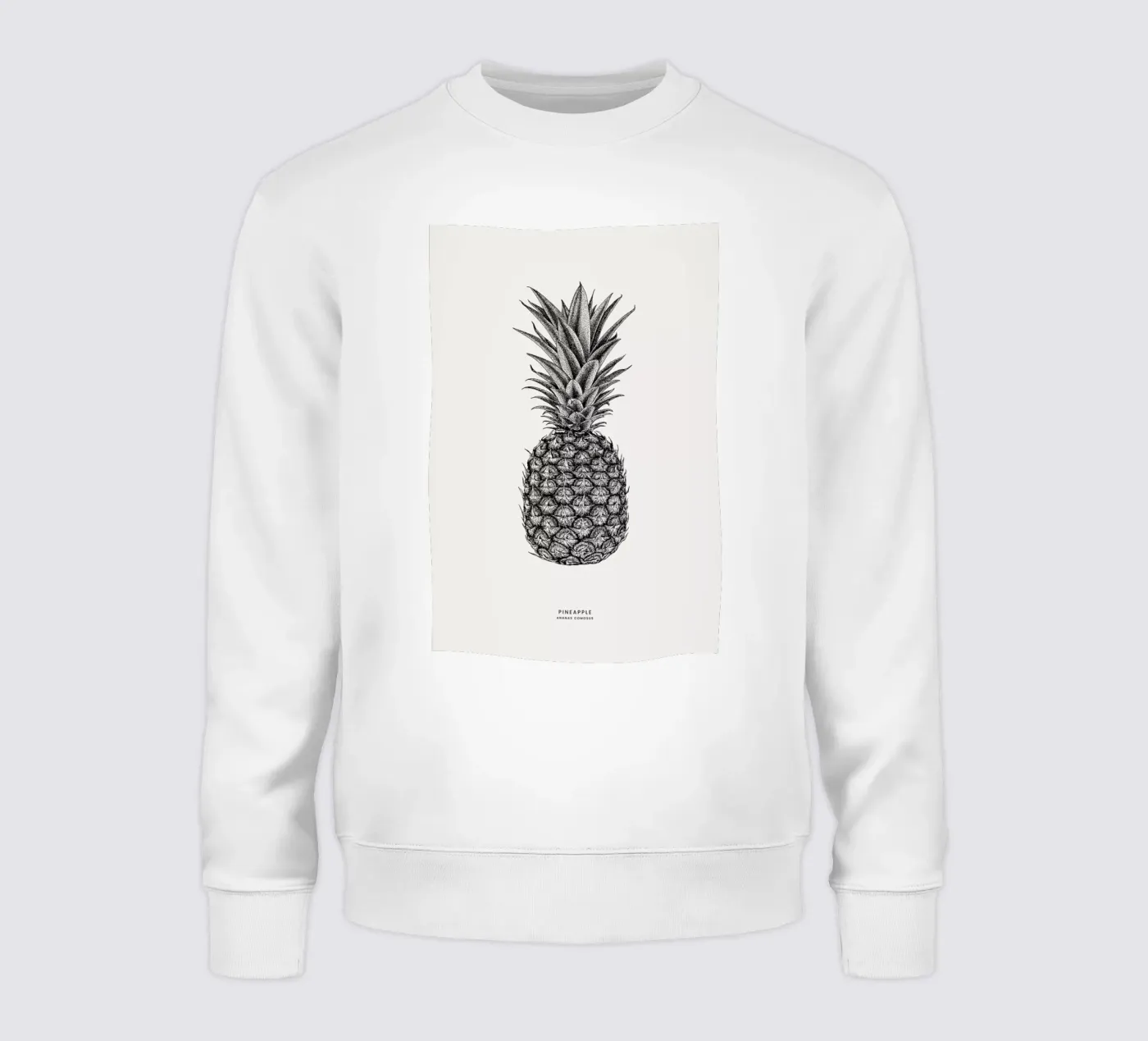 Pineapple sweatshirt by Flora & Fauna