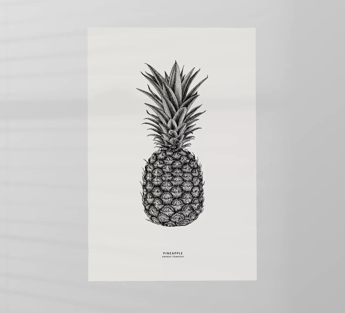 Pineapple backlit film by Flora & Fauna
