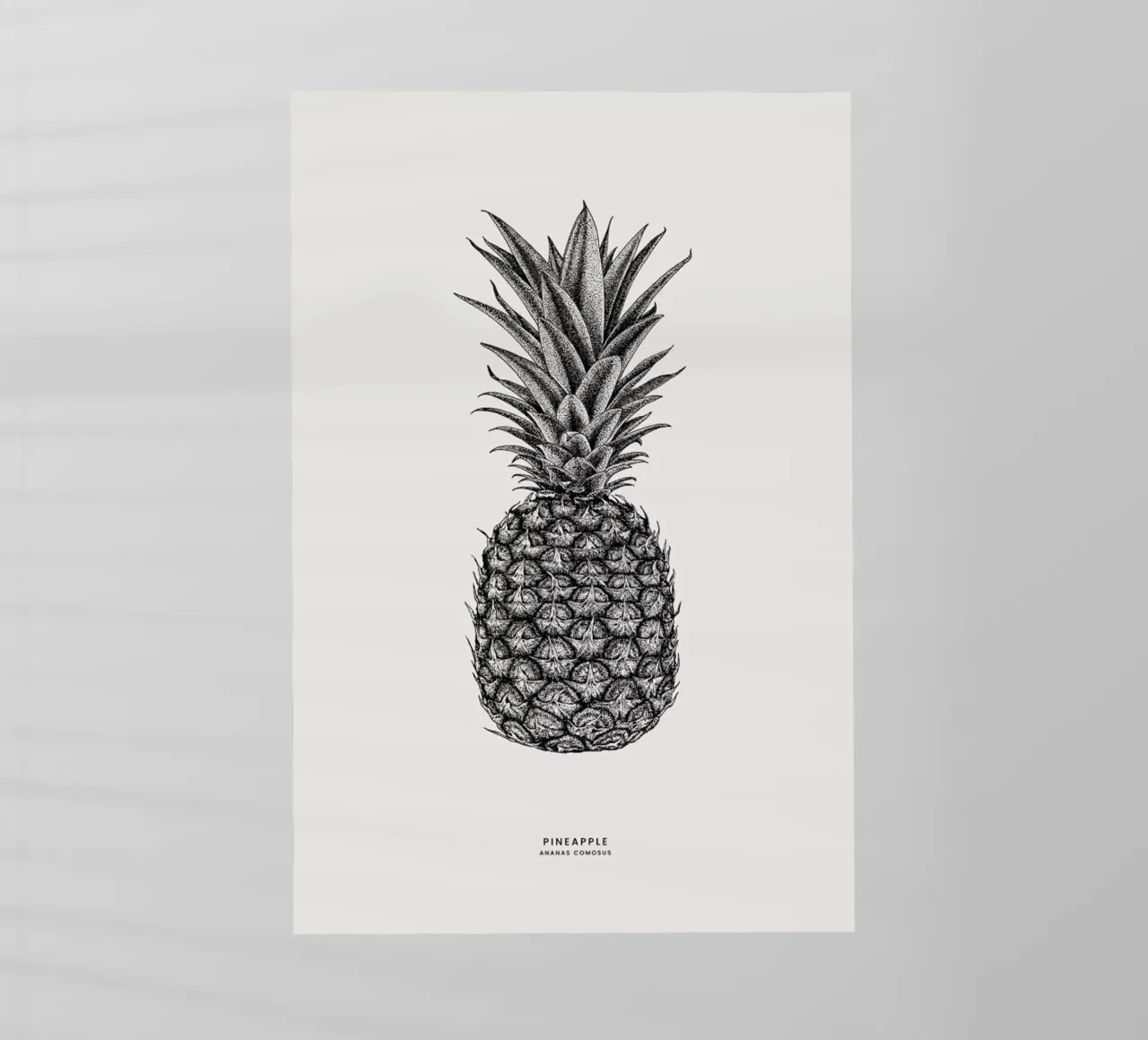 Pineapple pellicola backlit da Flora & Fauna