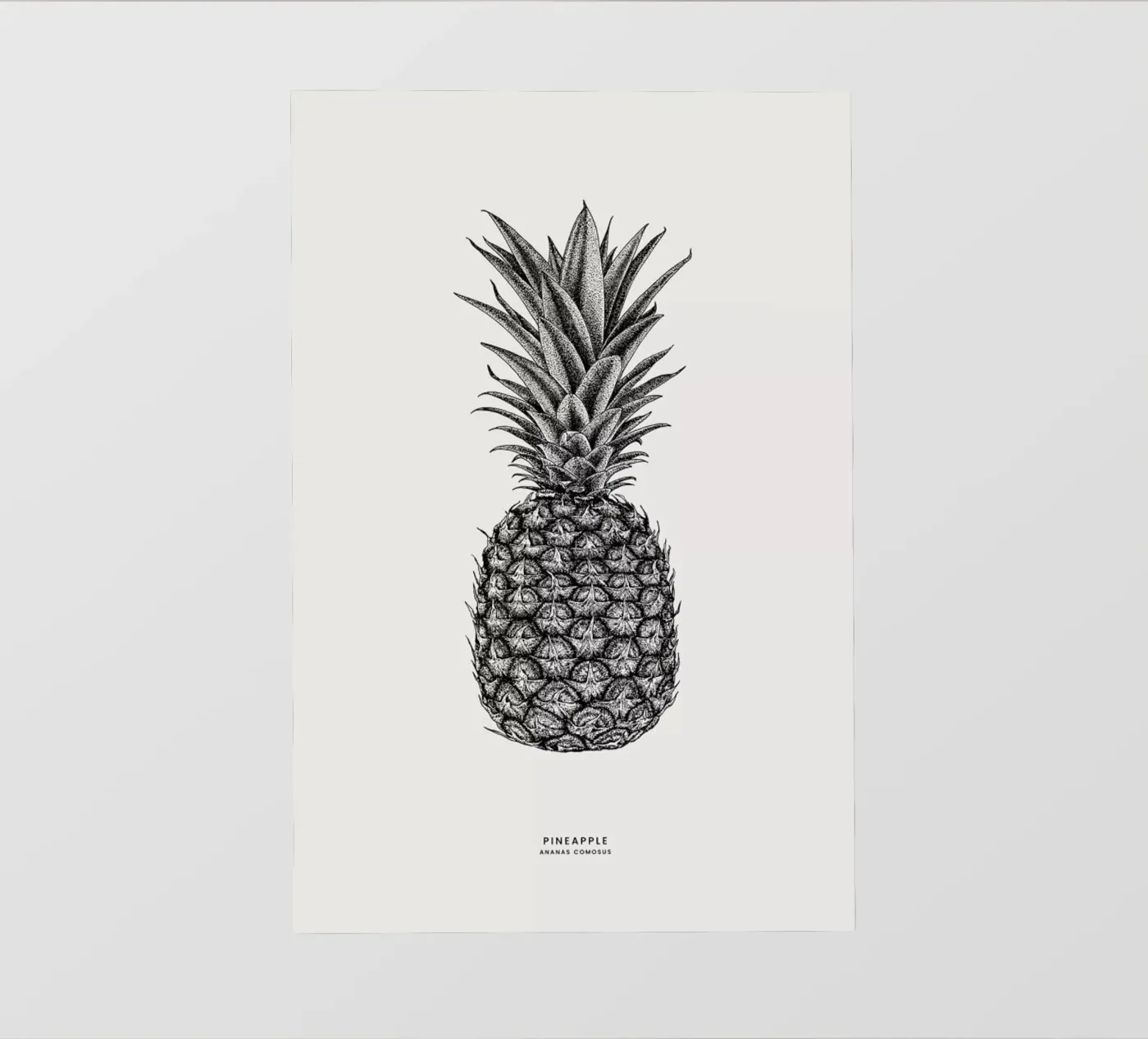 Pineapple backlit film by Flora & Fauna