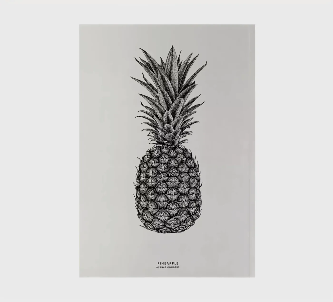 Pineapple quaderno da Flora & Fauna
