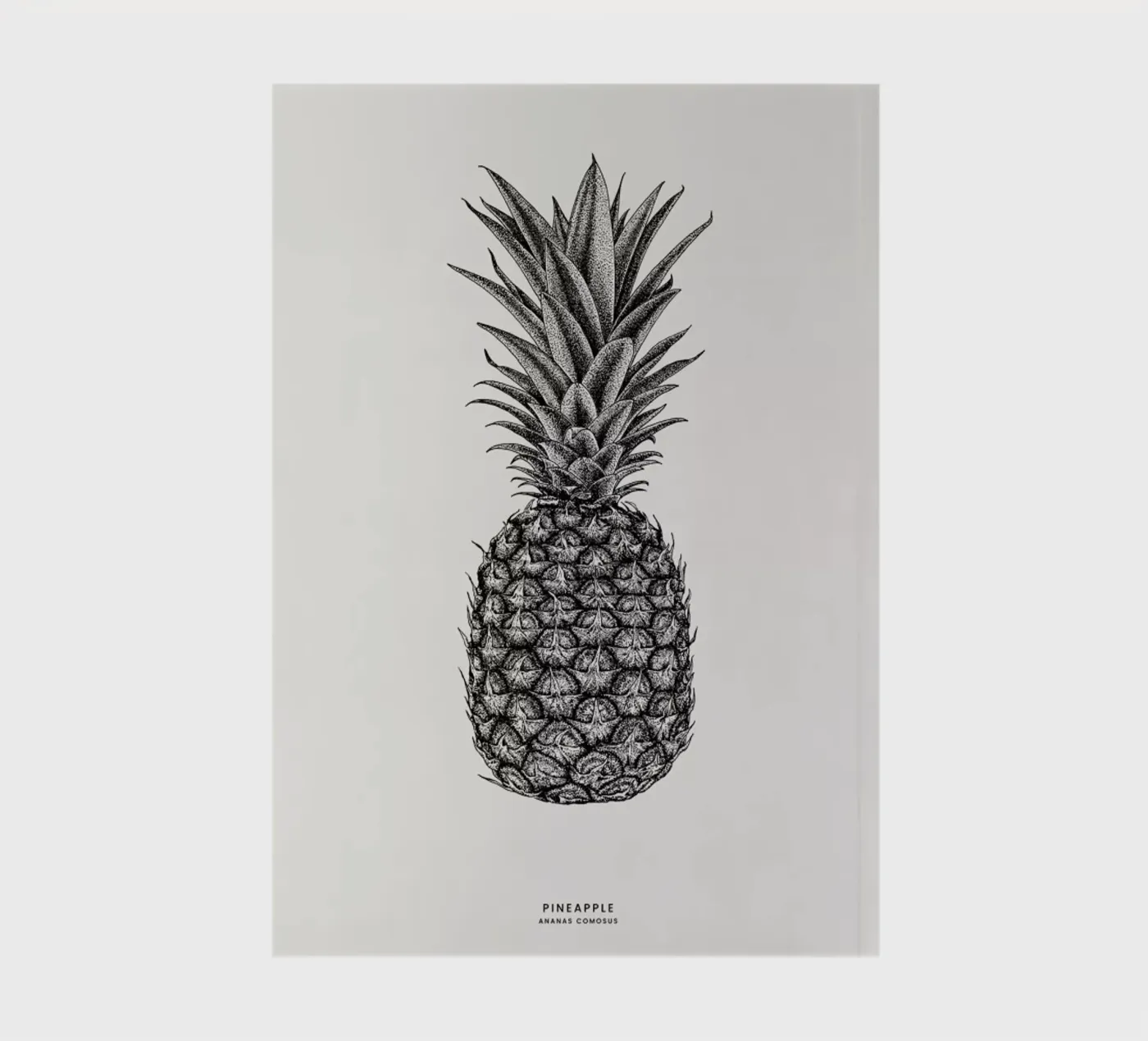 Pineapple Notizbuch von Flora & Fauna