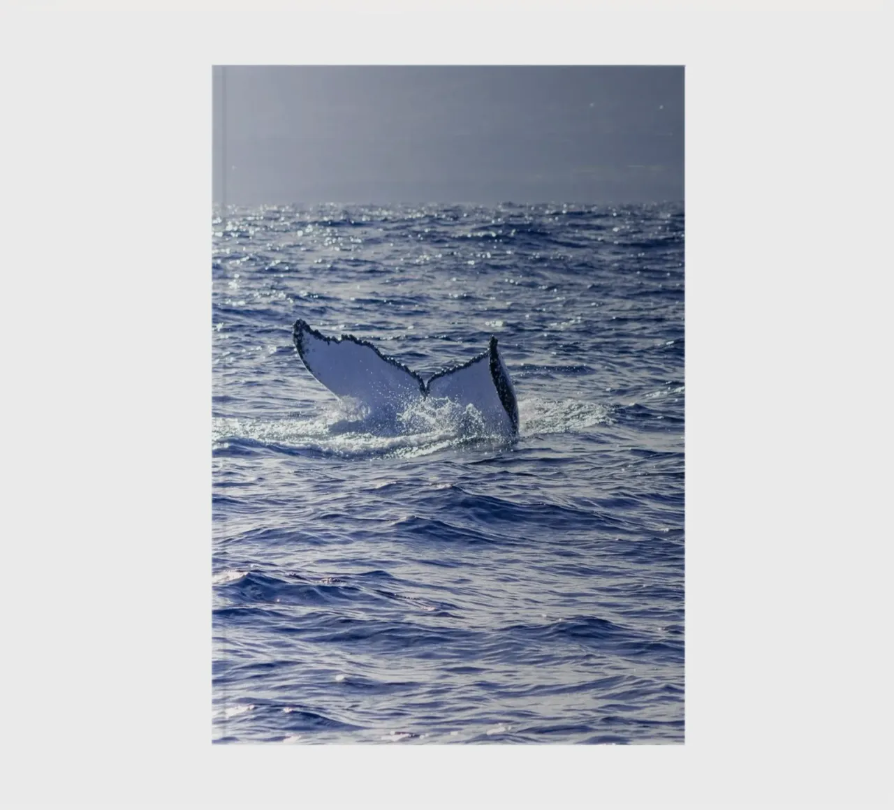 The whale dive 3 notebook by Léa Lefebvre Photography