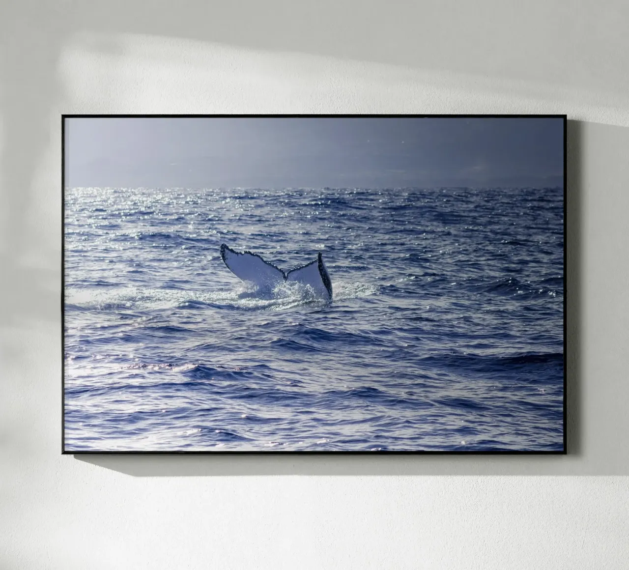 L'immersione delle balene 3 plexiglass da Léa Lefebvre Photography