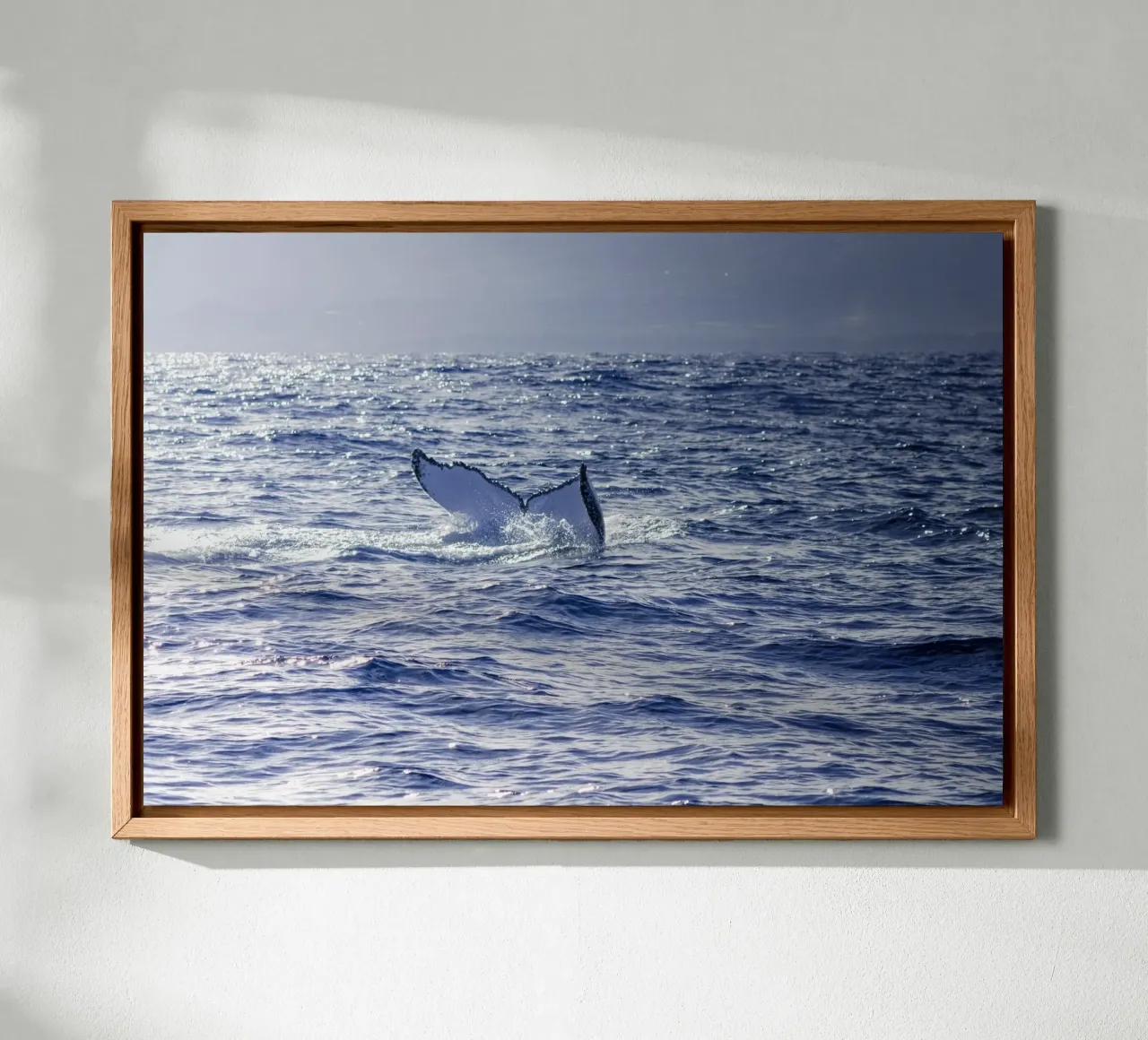 L'immersione delle balene 3 alluminio dibond da Léa Lefebvre Photography