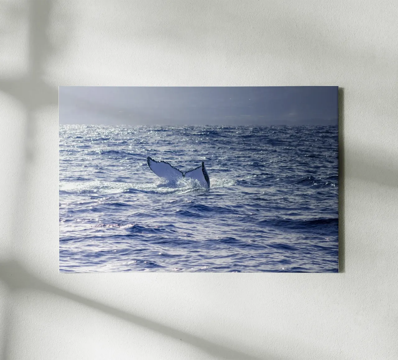 L'immersione delle balene 3 tela con Cornice a cassetta da Léa Lefebvre Photography