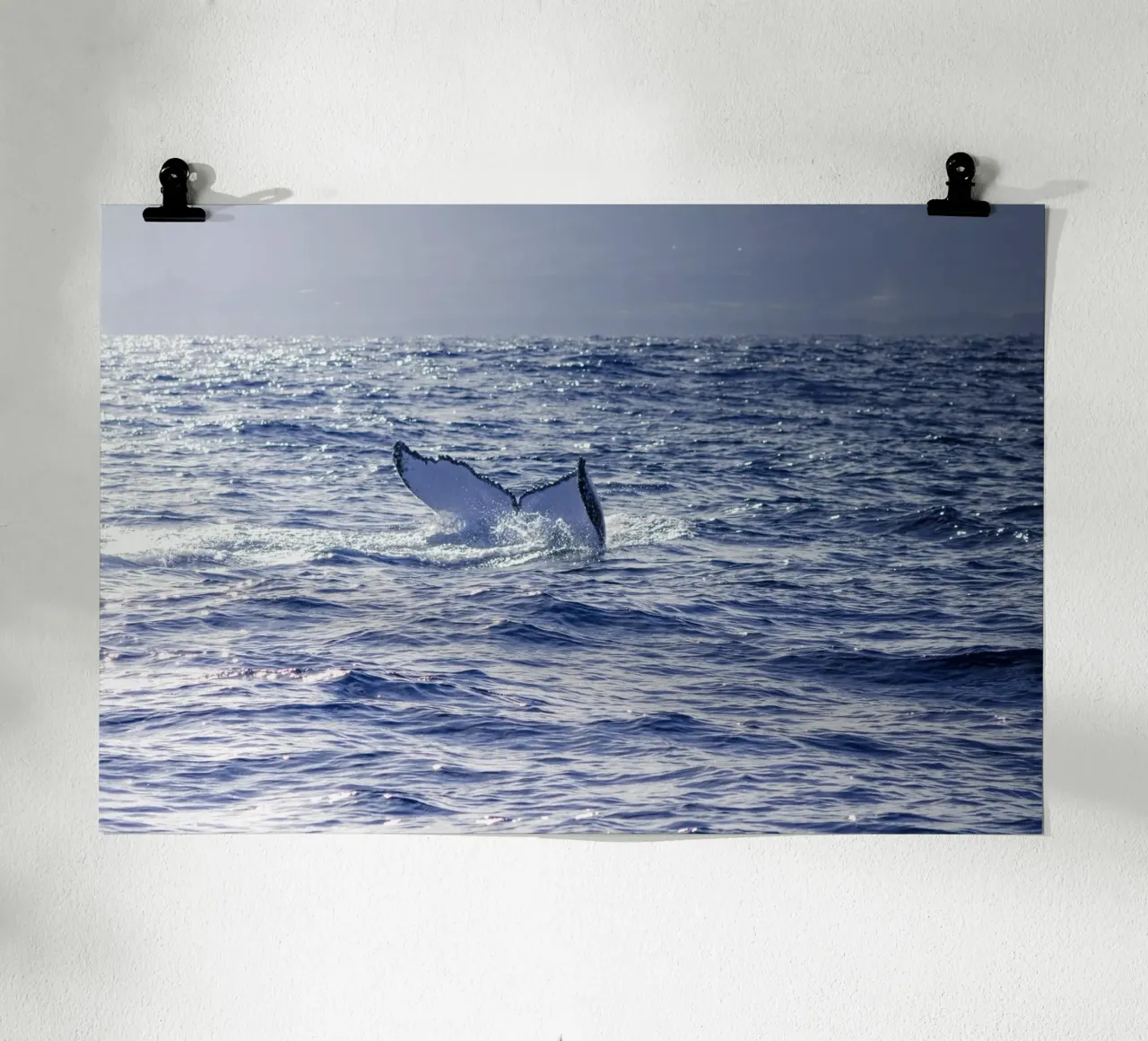 L'immersione delle balene 3 carta hahnemühle da Léa Lefebvre Photography