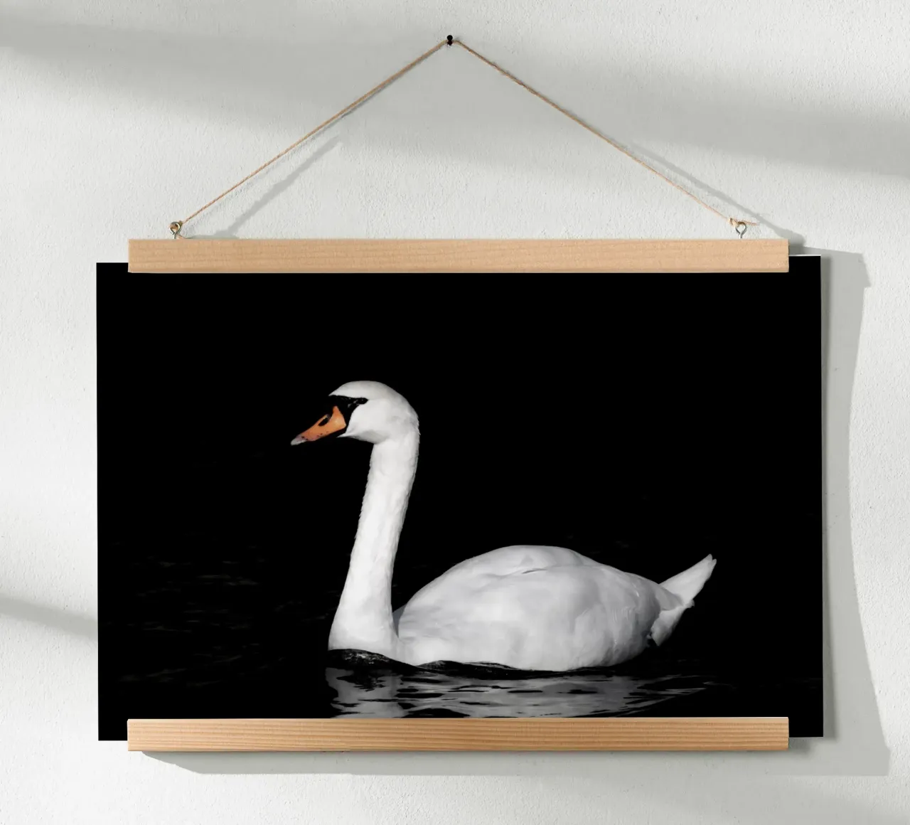 Cigno bianco a Bruges carta hahnemühle da Léa Lefebvre Photography