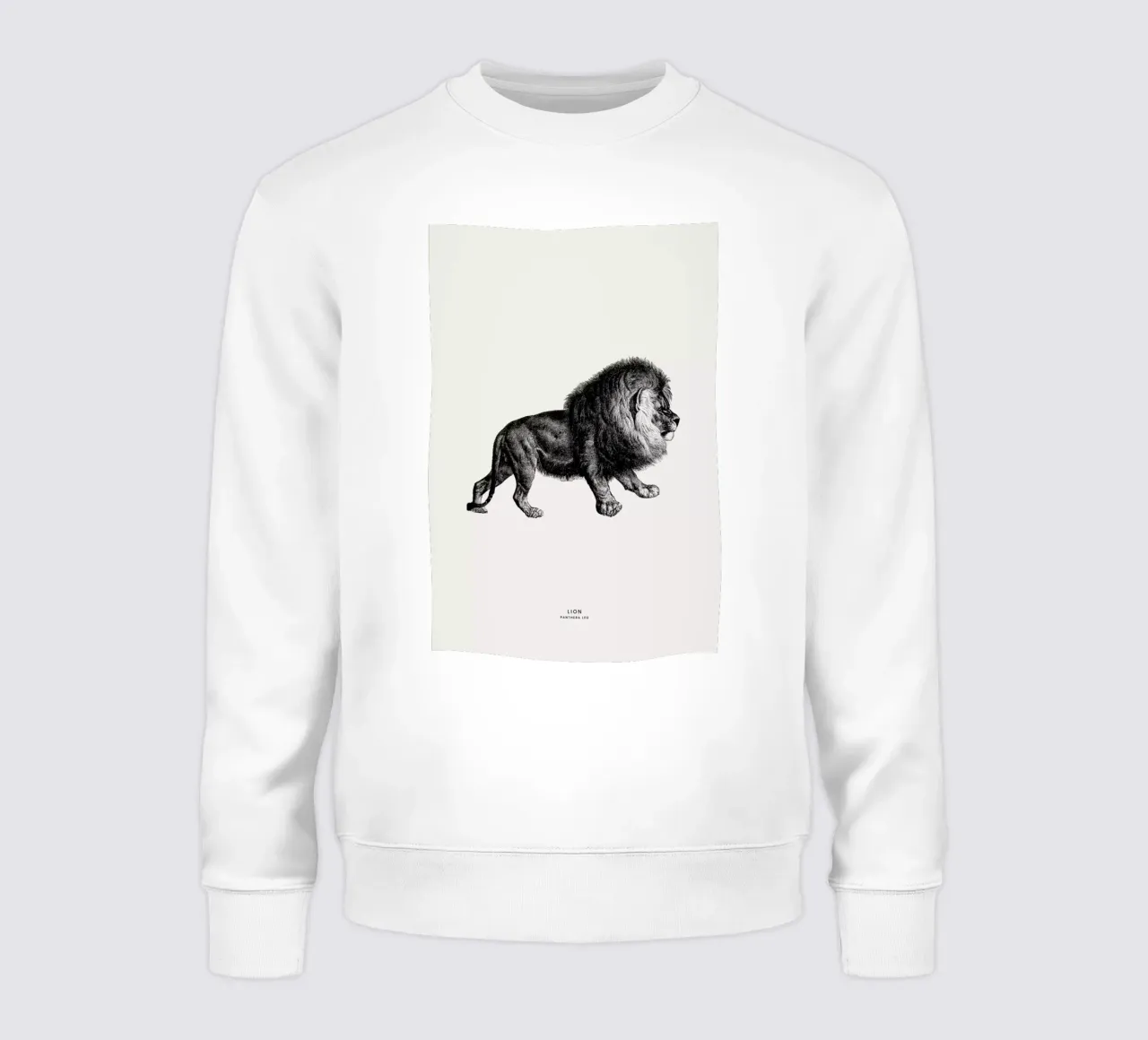 Lion felpa da Flora & Fauna