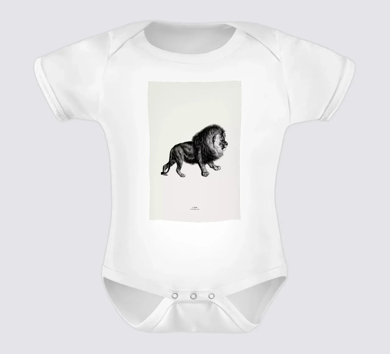 Lion short-sleeve baby romper by Flora & Fauna