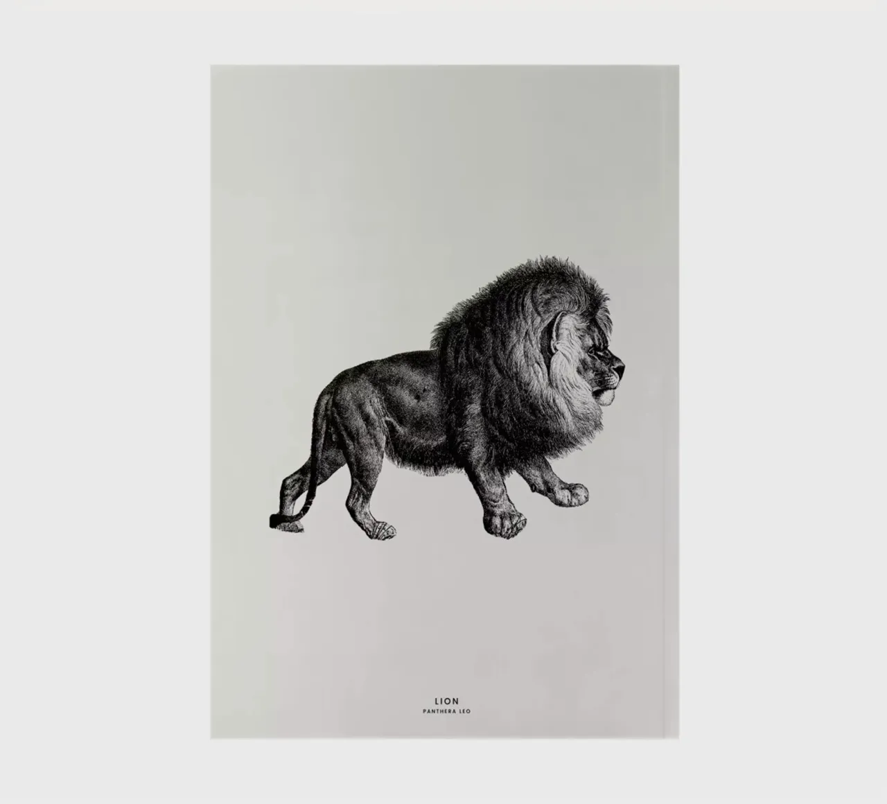 Lion notebook by Flora & Fauna