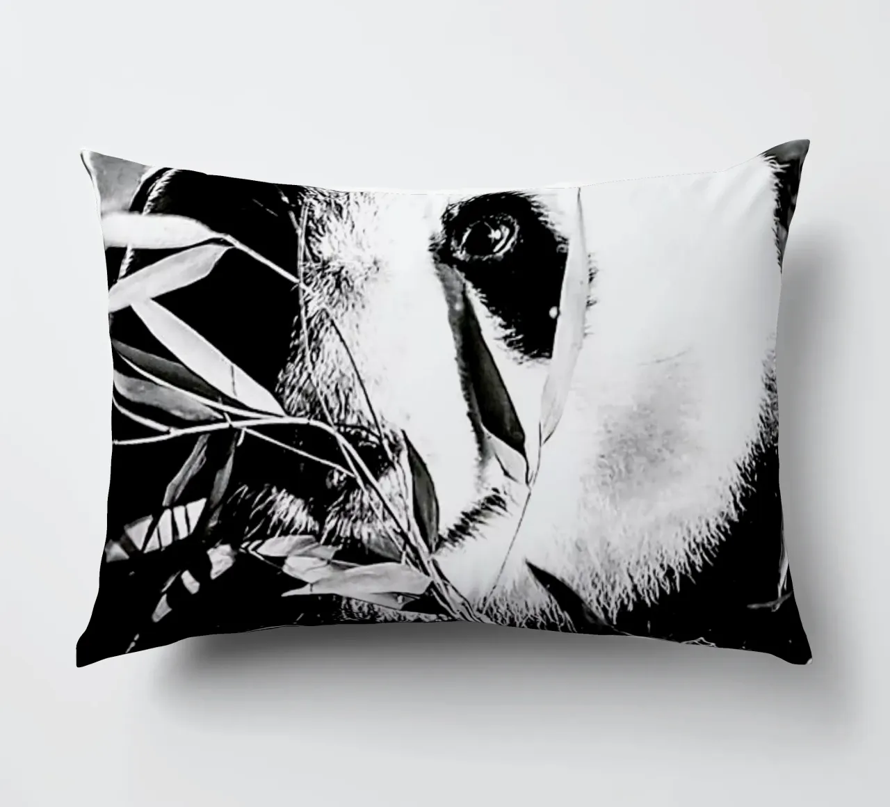 Hungry Panda decorative cushion by Babett Schultze