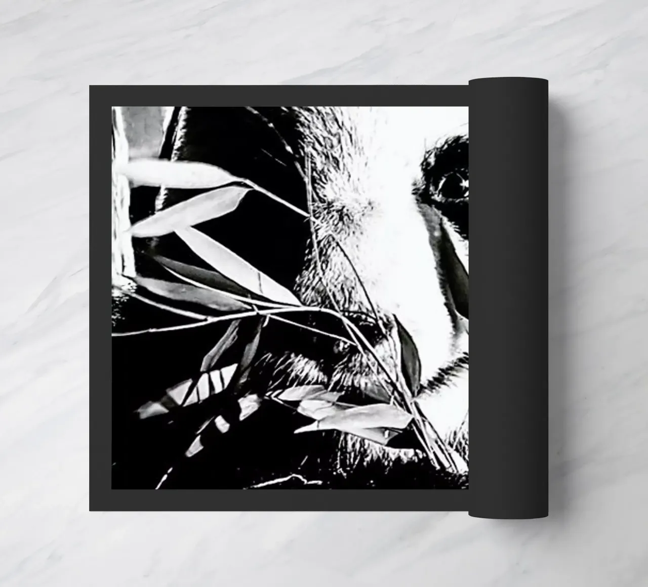 Hungry Panda zerbino da Babett Schultze