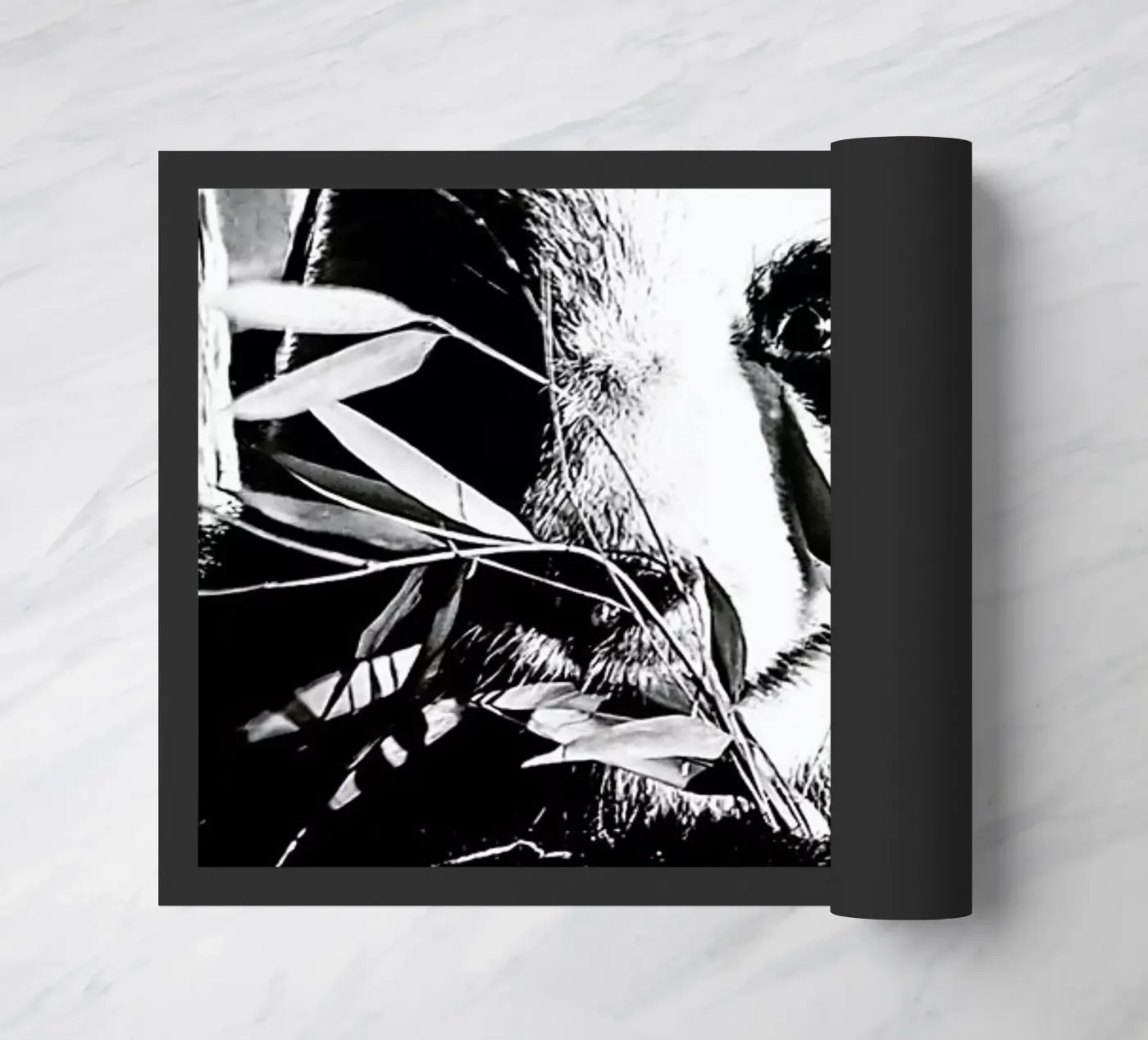 Hungry Panda doormat by Babett Schultze