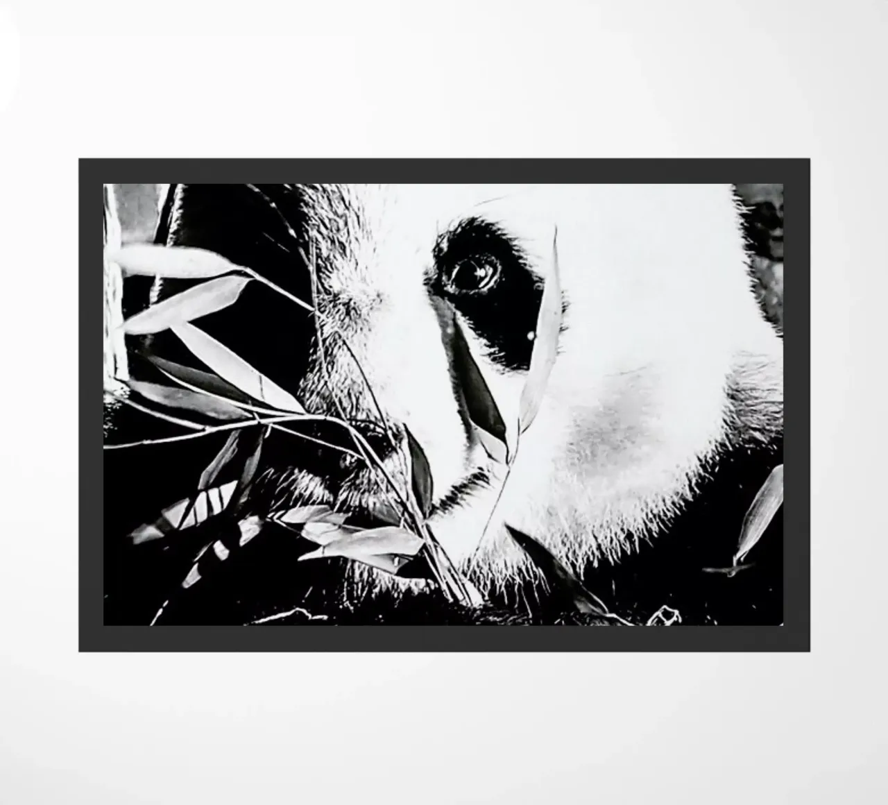 Hungry Panda zerbino da Babett Schultze