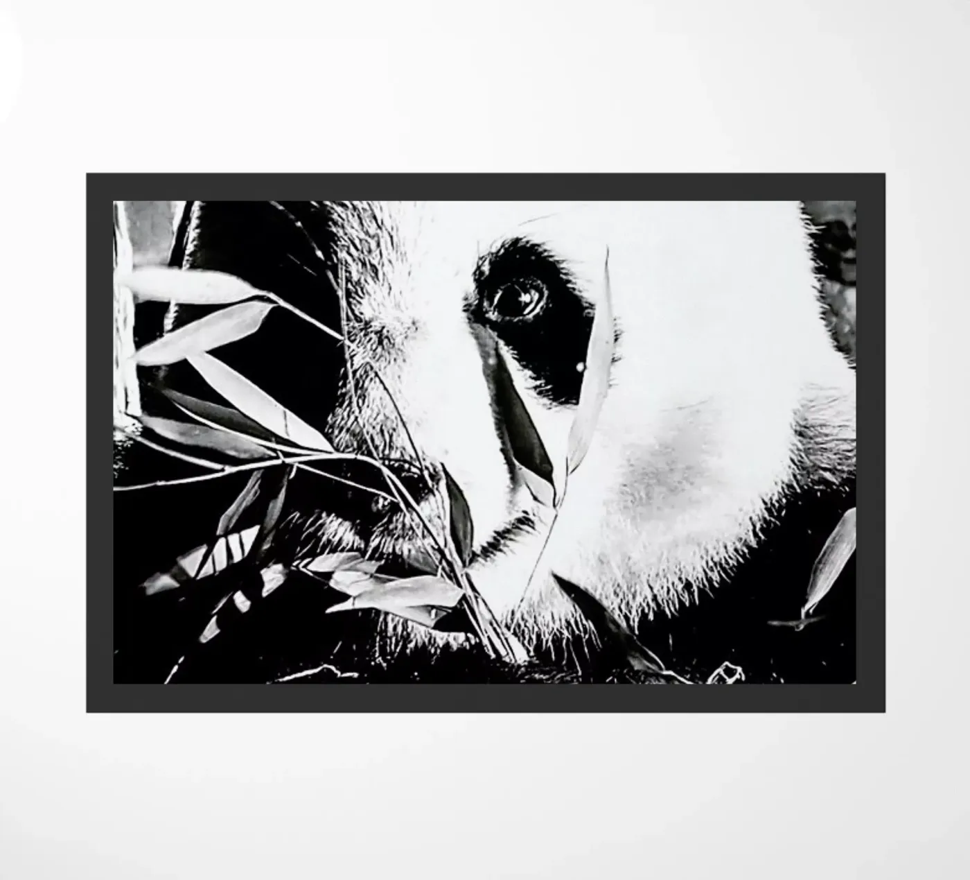 Hungry Panda doormat by Babett Schultze