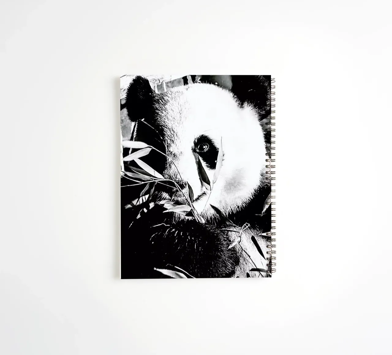 Hungry Panda spiral notebook by Babett Schultze