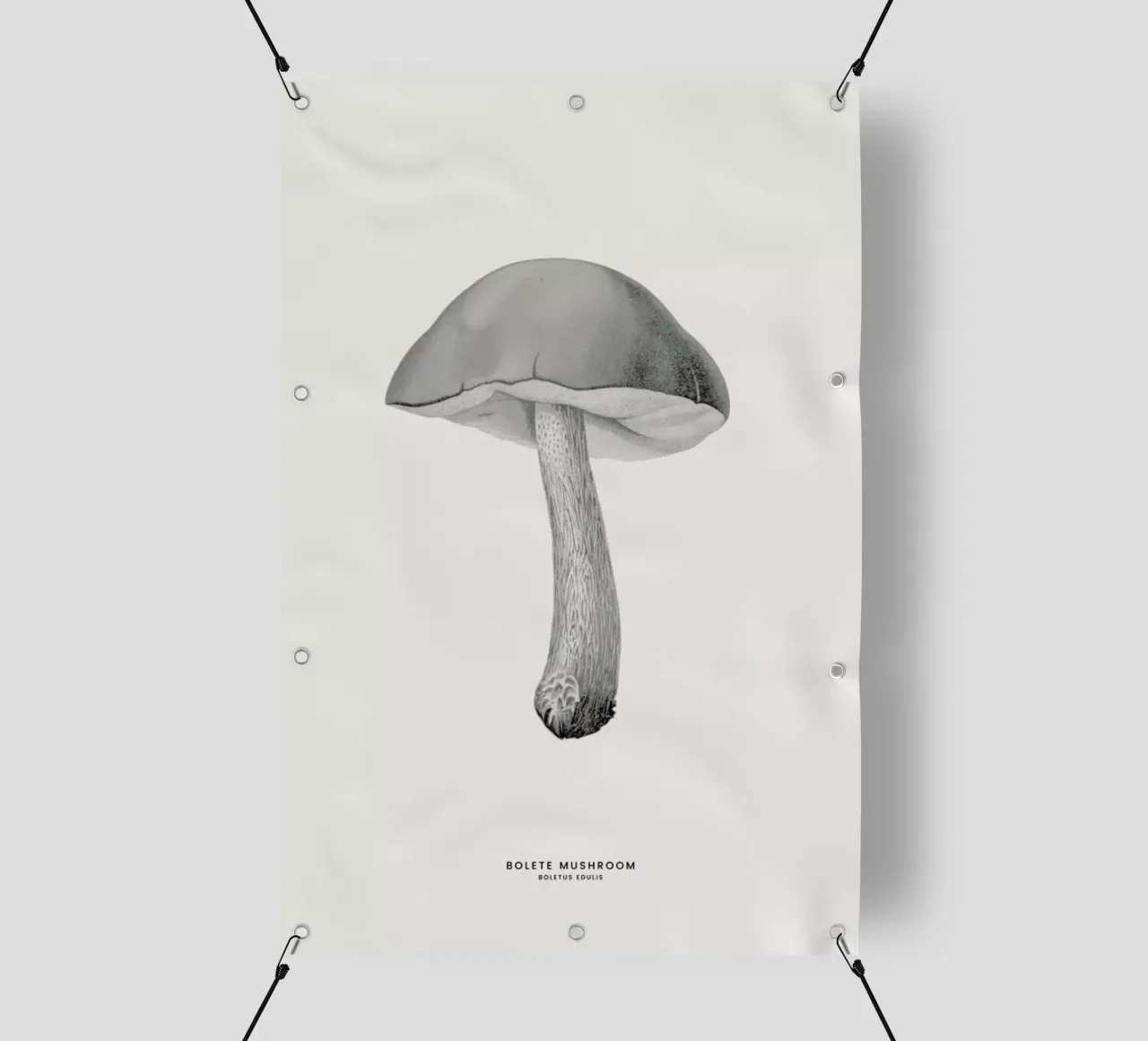 Bolete Mushroom telo in pvc da Flora & Fauna
