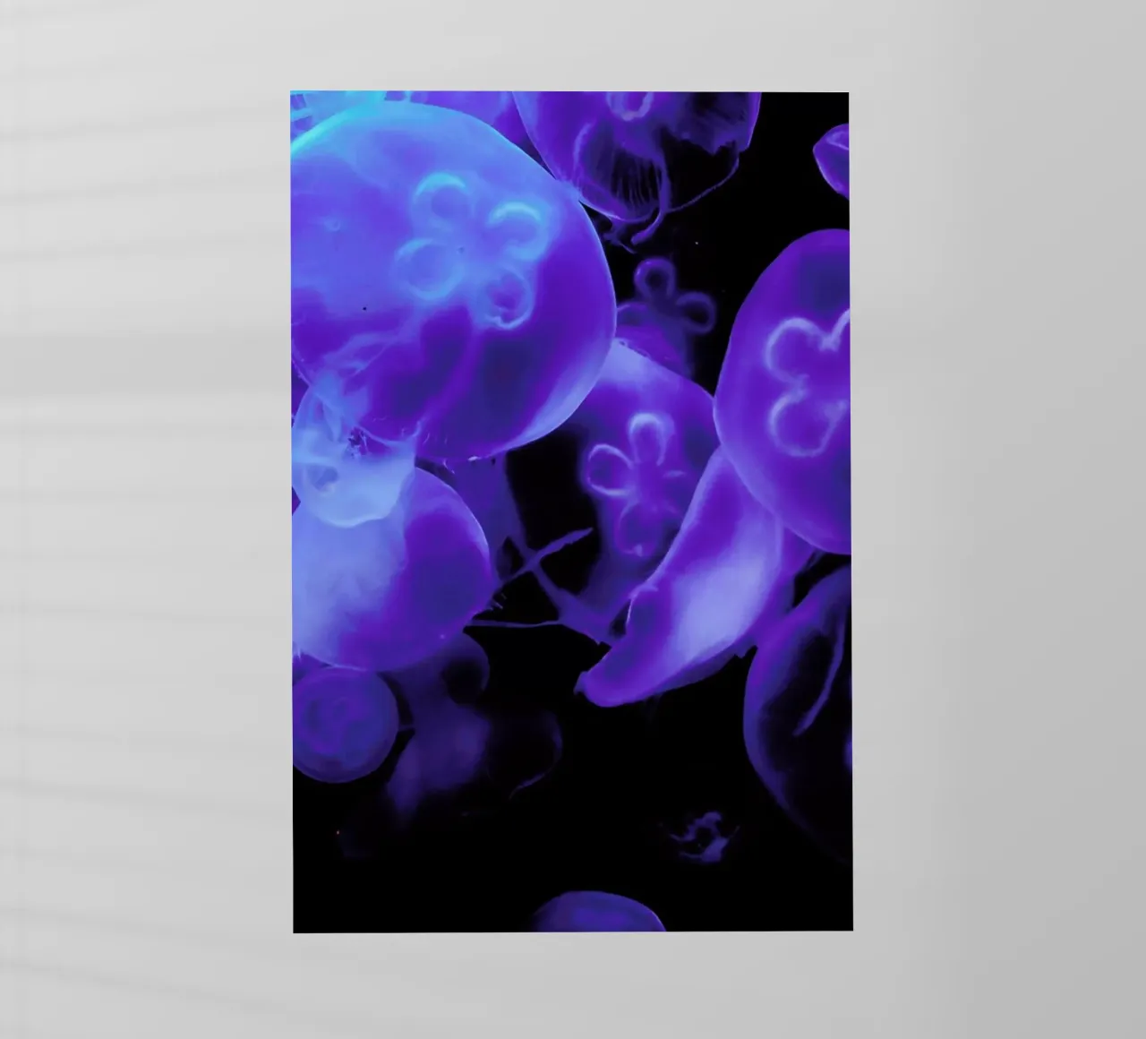 Blue Jellyfish pellicola backlit da Babett Schultze