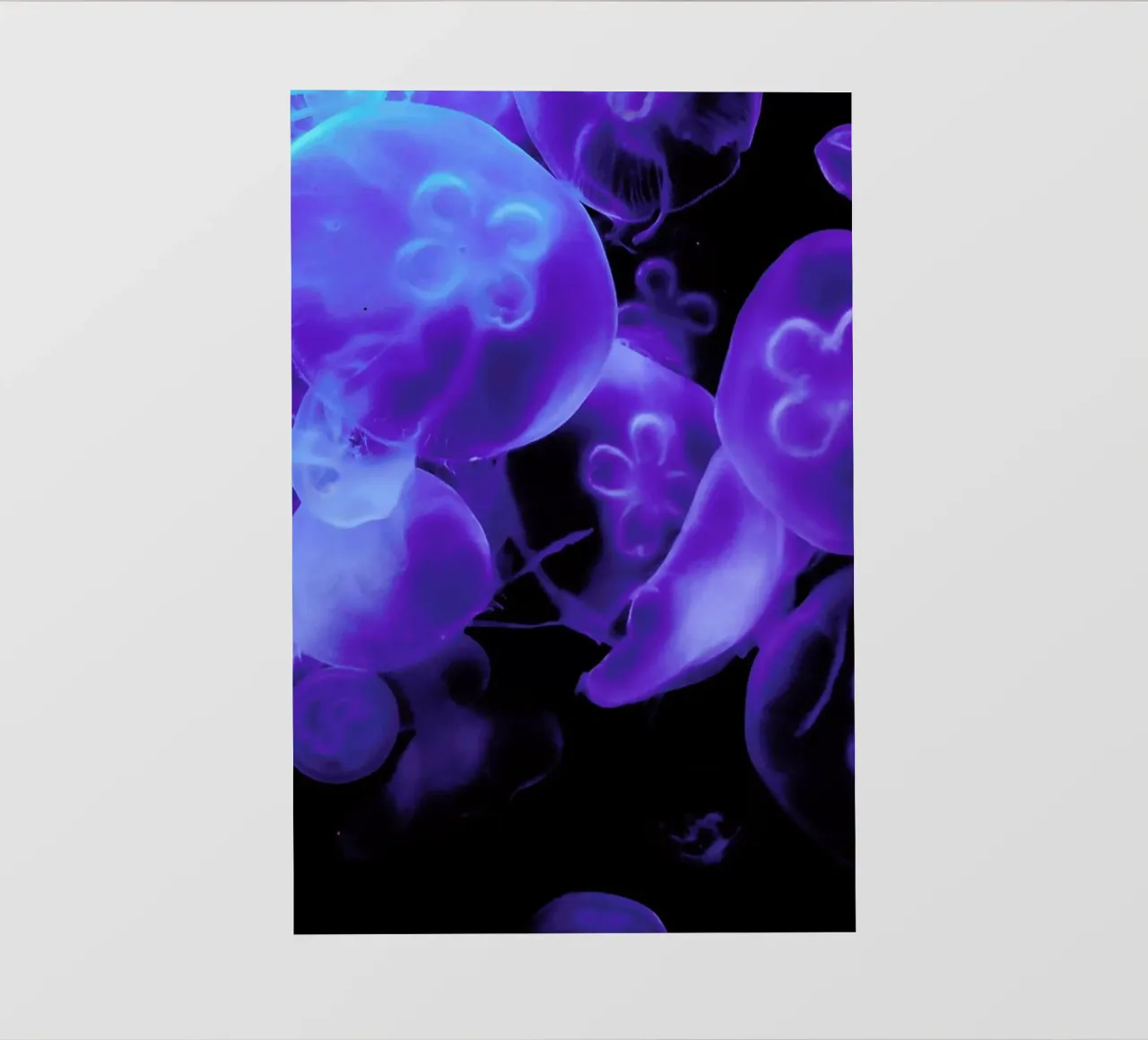 Blue Jellyfish pellicola backlit da Babett Schultze