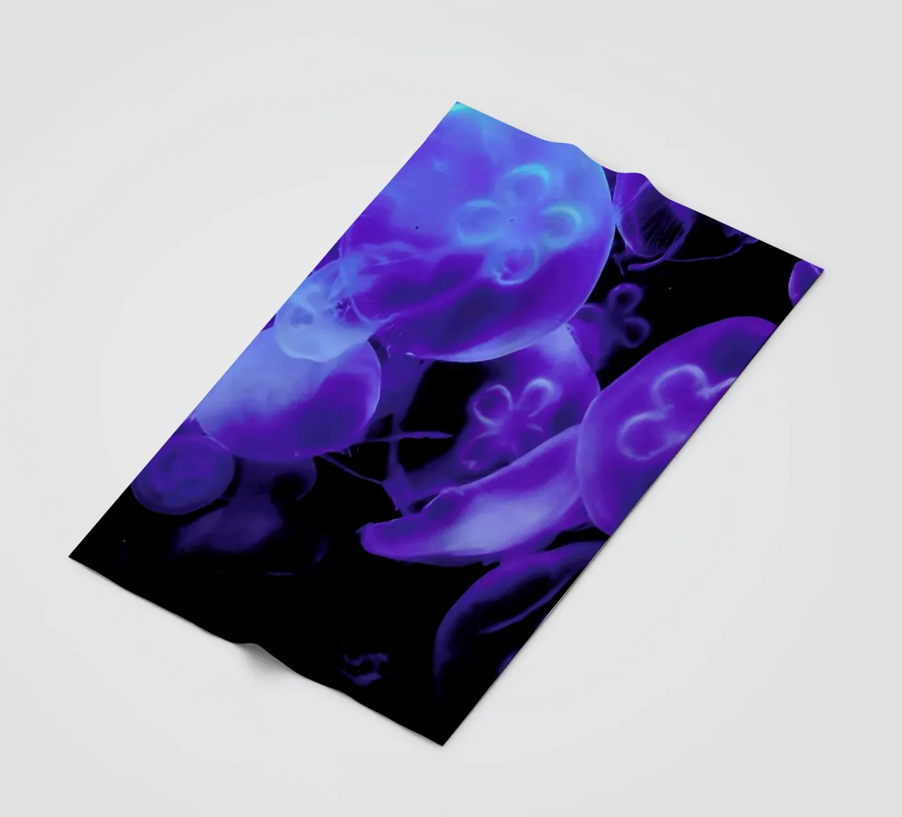 Blue Jellyfish coperta in pile da Babett Schultze