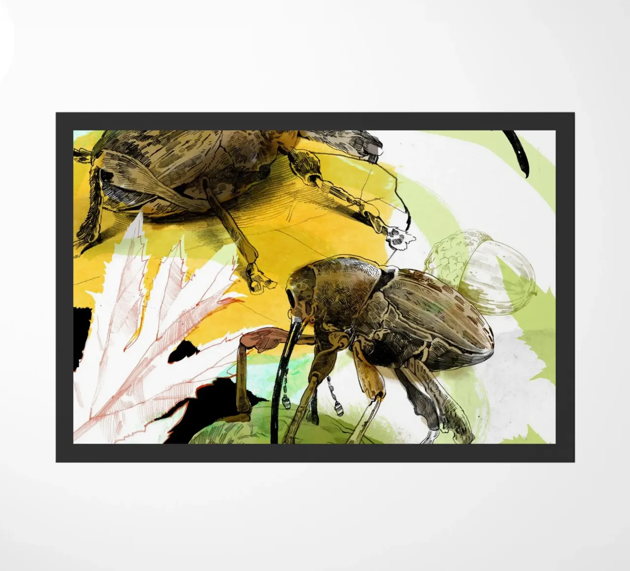 Insekten I zerbino da DrawDraw