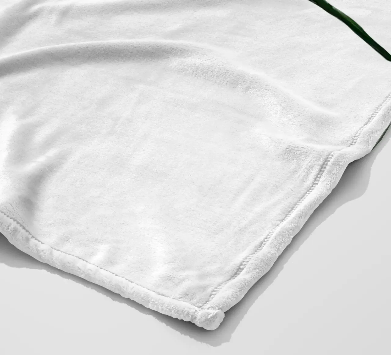 Ginkgo leave green fleece blanket by Femke Zwaan