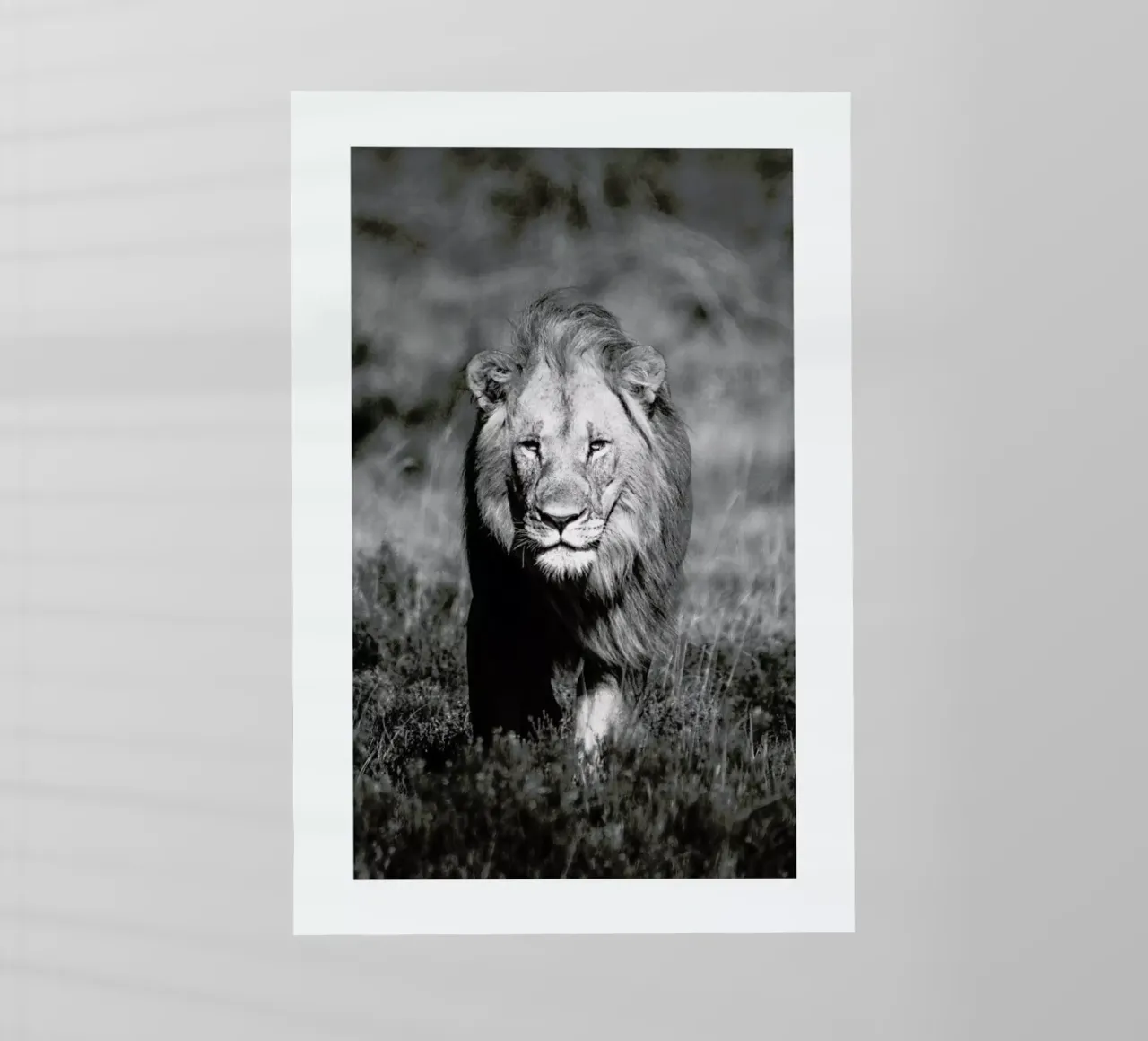 African Heat backlit folie van Natural Kingdom