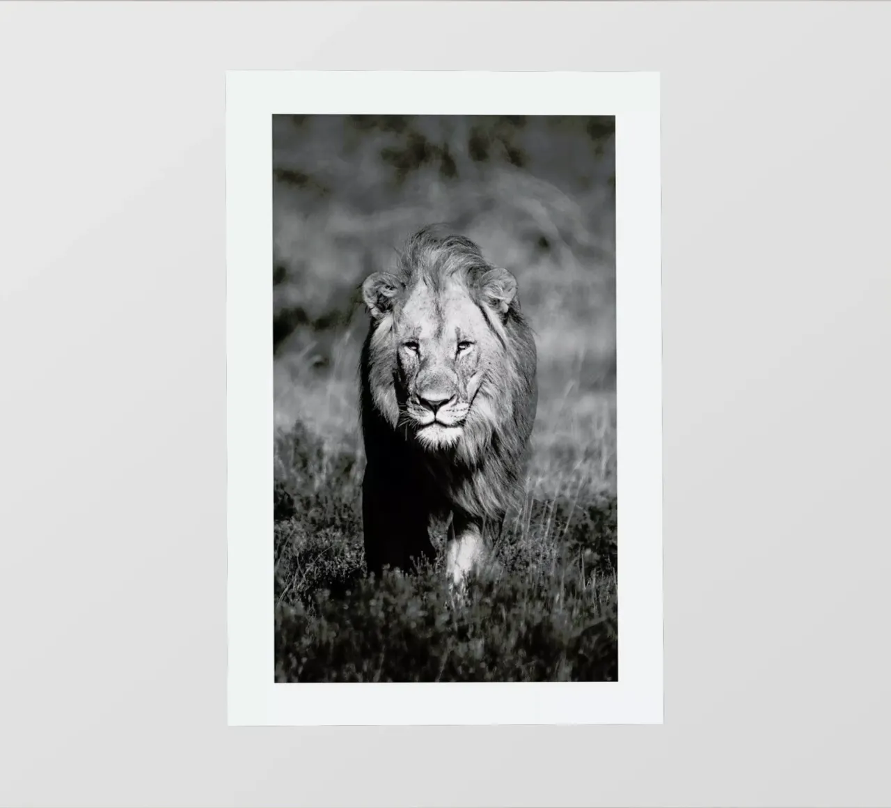 African Heat backlit folie van Natural Kingdom