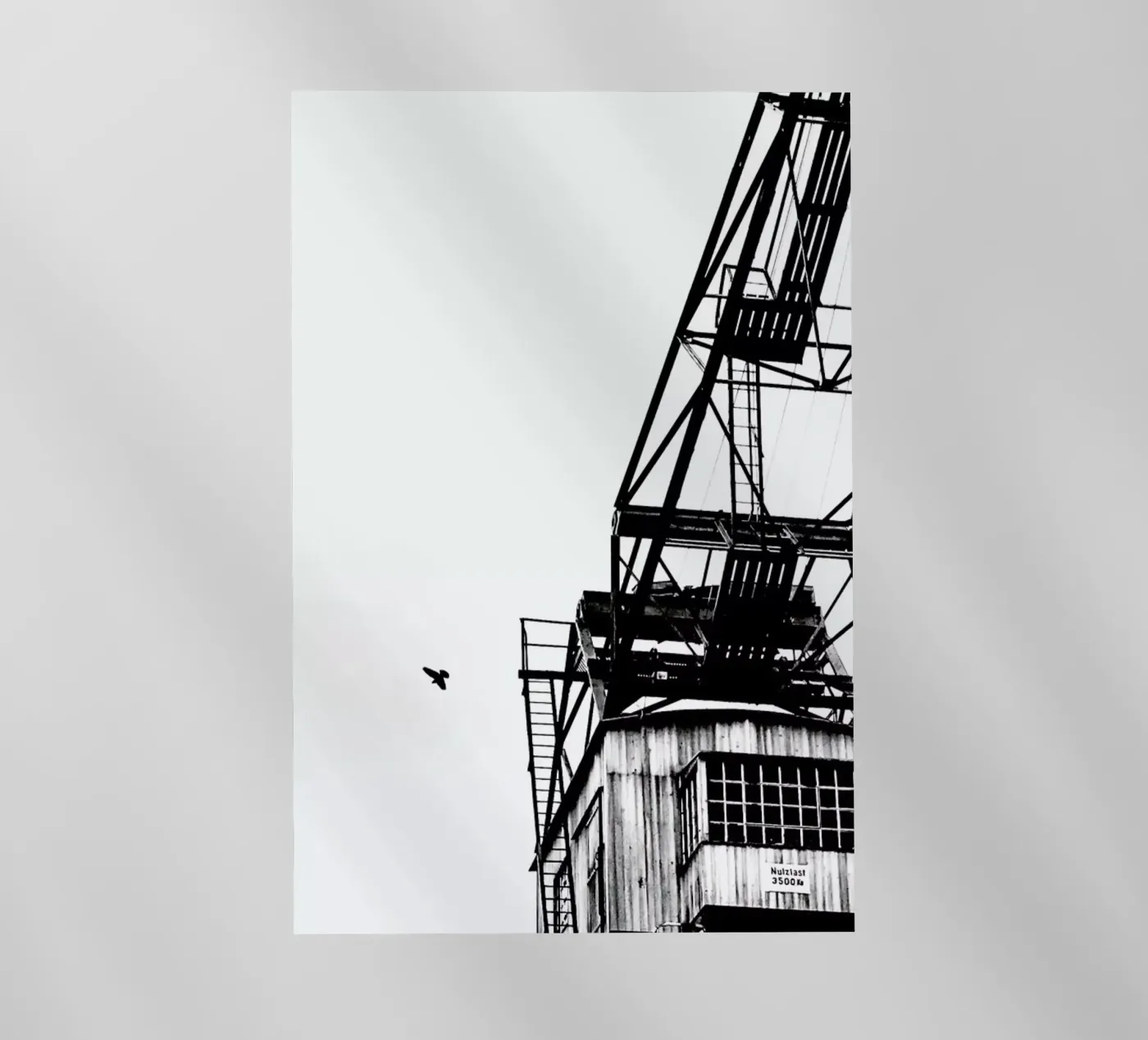 Epic Crane pellicola backlit da Babett Schultze
