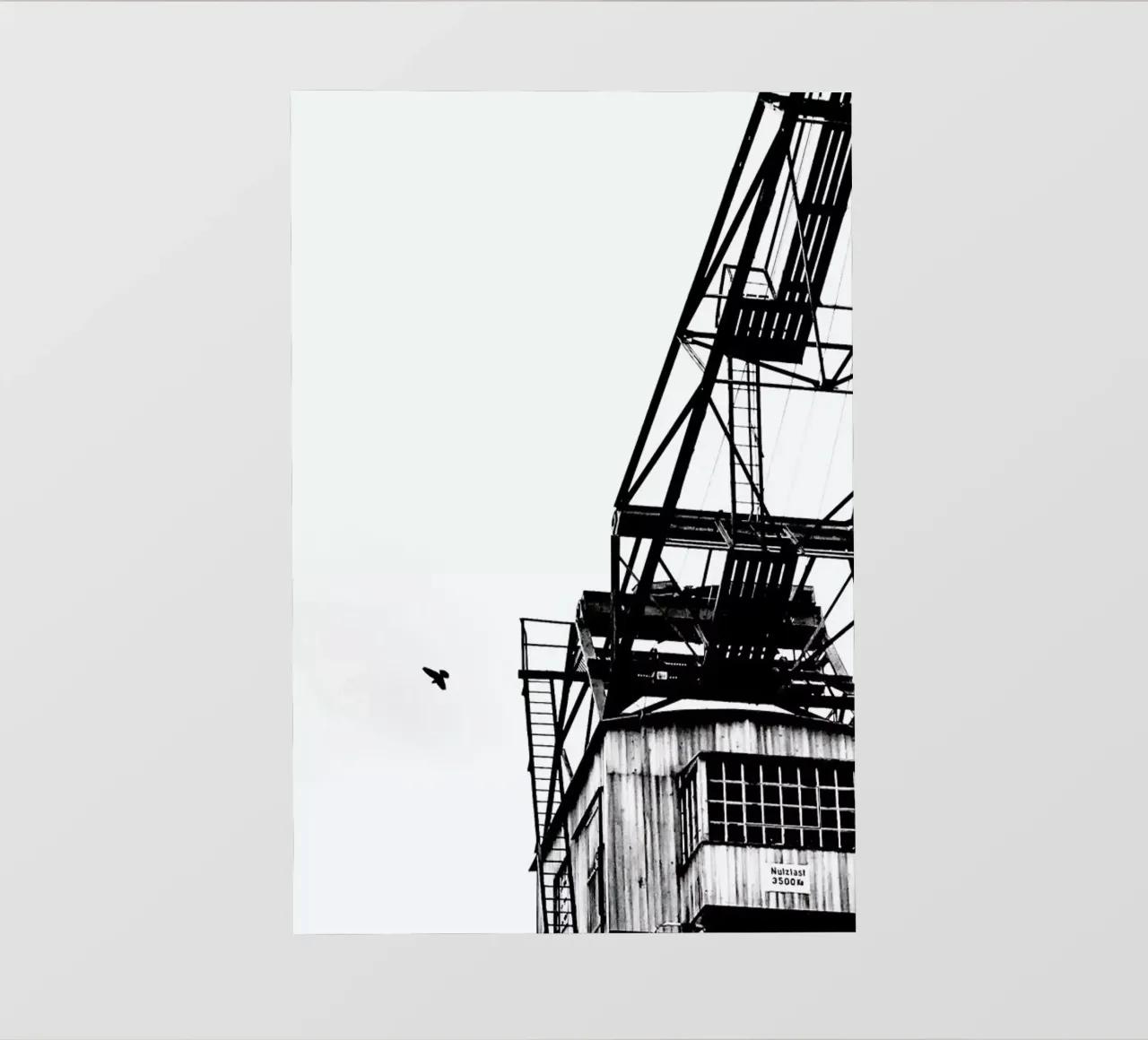 Epic Crane pellicola backlit da Babett Schultze
