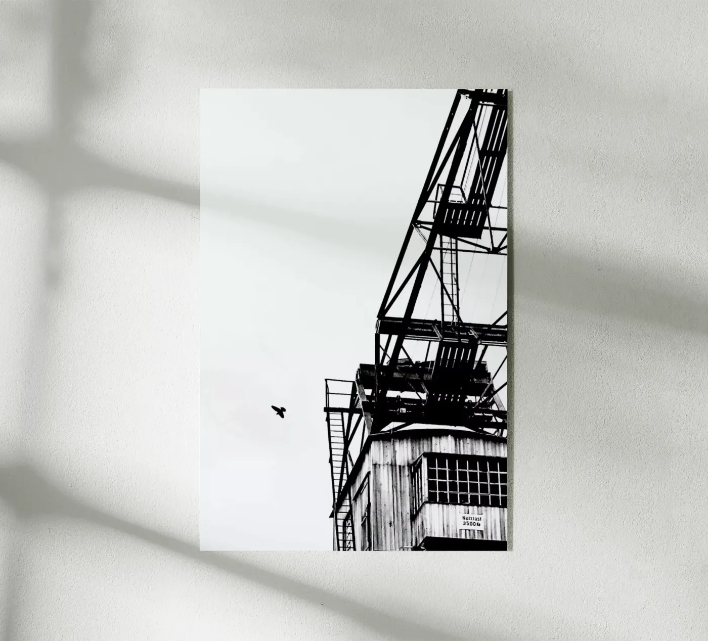 Epic Crane plexiglass da Babett Schultze