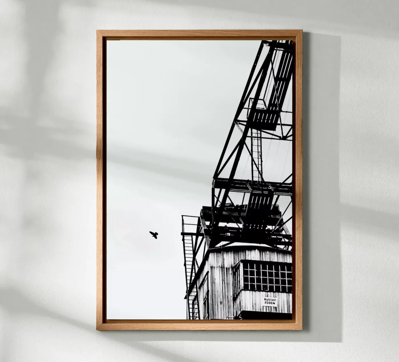 Epic Crane alluminio dibond da Babett Schultze