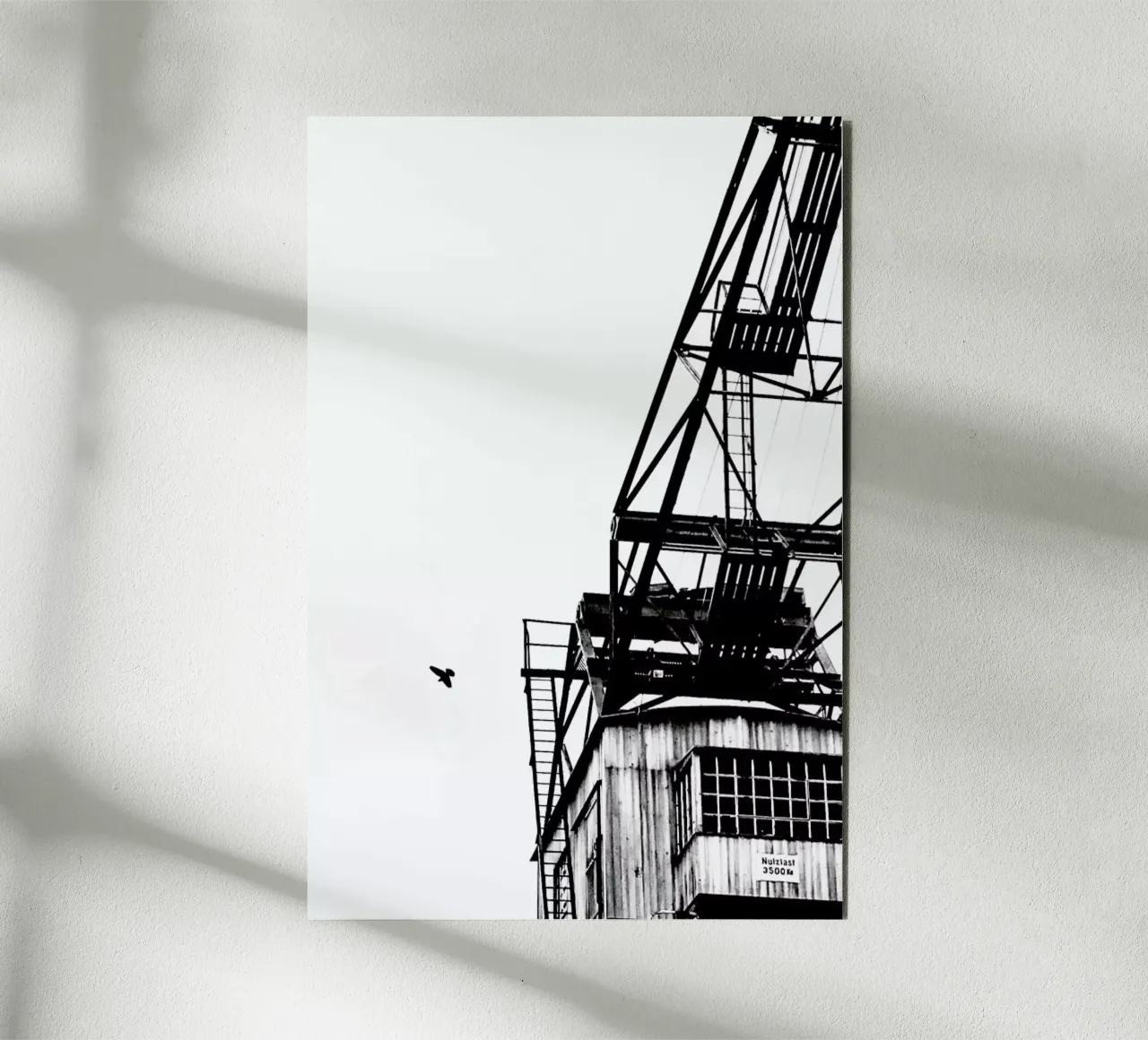Epic Crane alluminio dibond da Babett Schultze