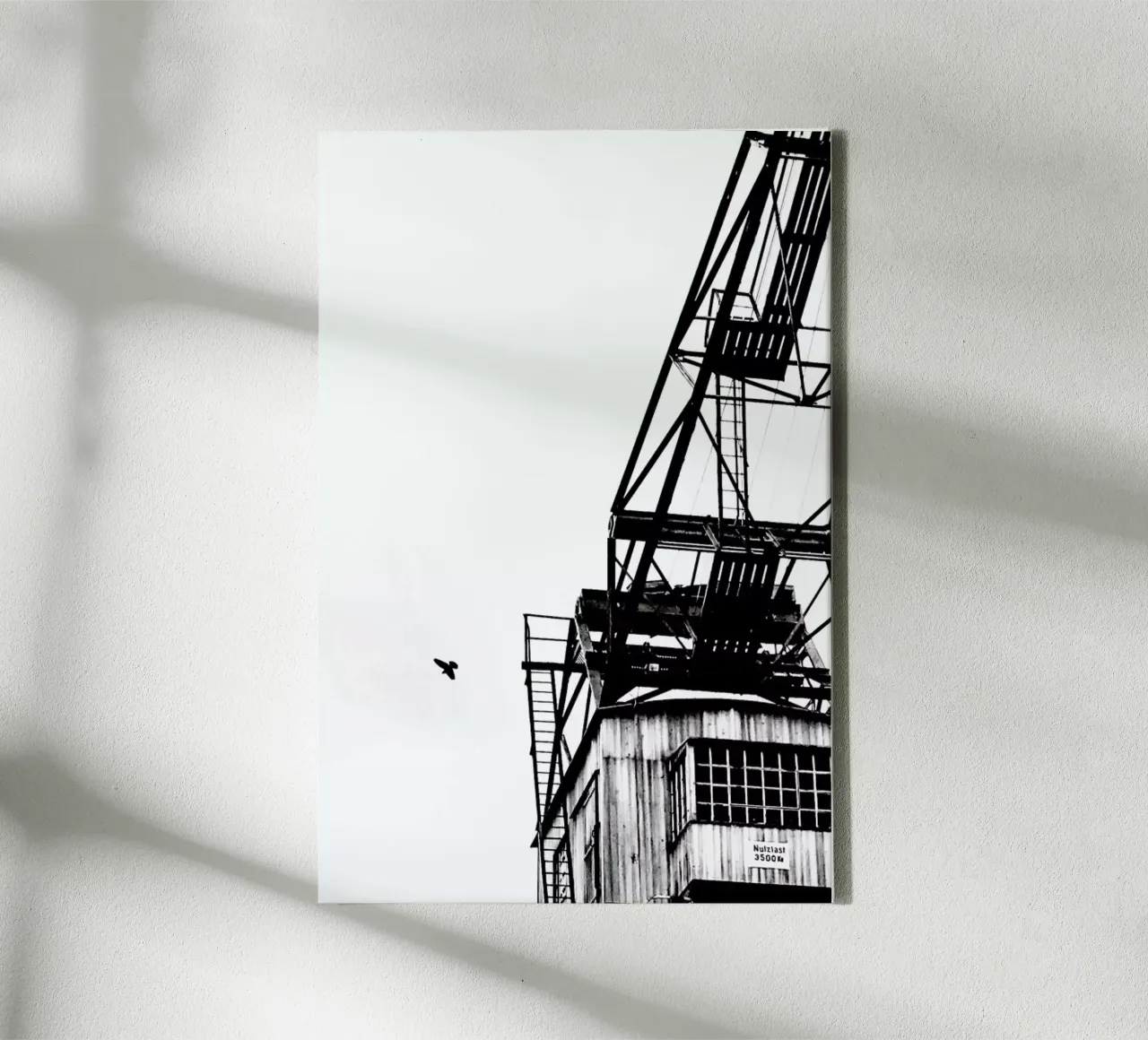 Epic Crane tela con Cornice a cassetta da Babett Schultze