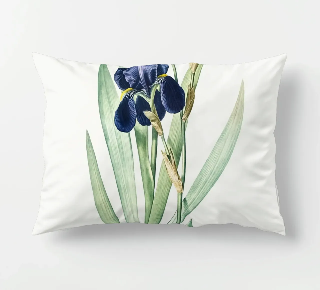 Purple Iris cuscino da Pretty Flowers Vintage Botanicals
