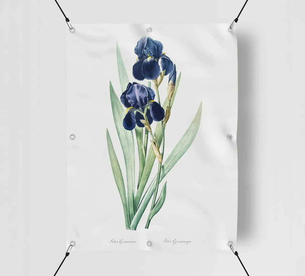 Purple Iris telo in pvc da Pretty Flowers Vintage Botanicals