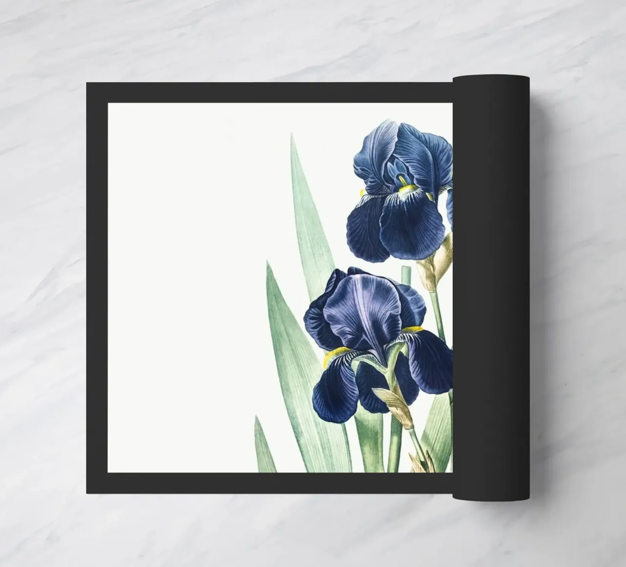 Purple Iris zerbino da Venus Art