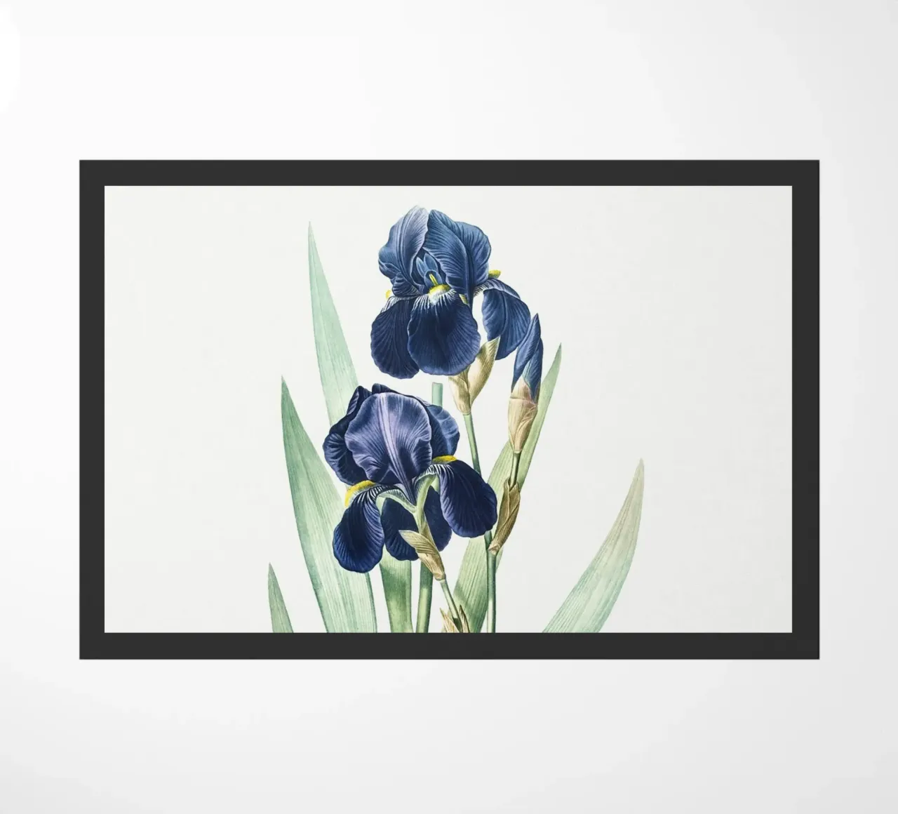 Purple Iris zerbino da Pretty Flowers Vintage Botanicals