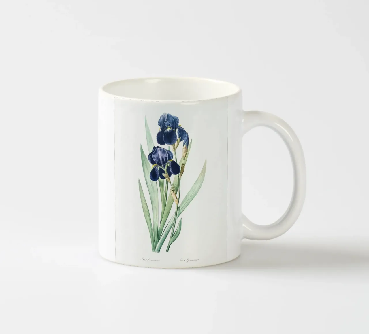 Purple Iris tazza in ceramica da Pretty Flowers Vintage Botanicals