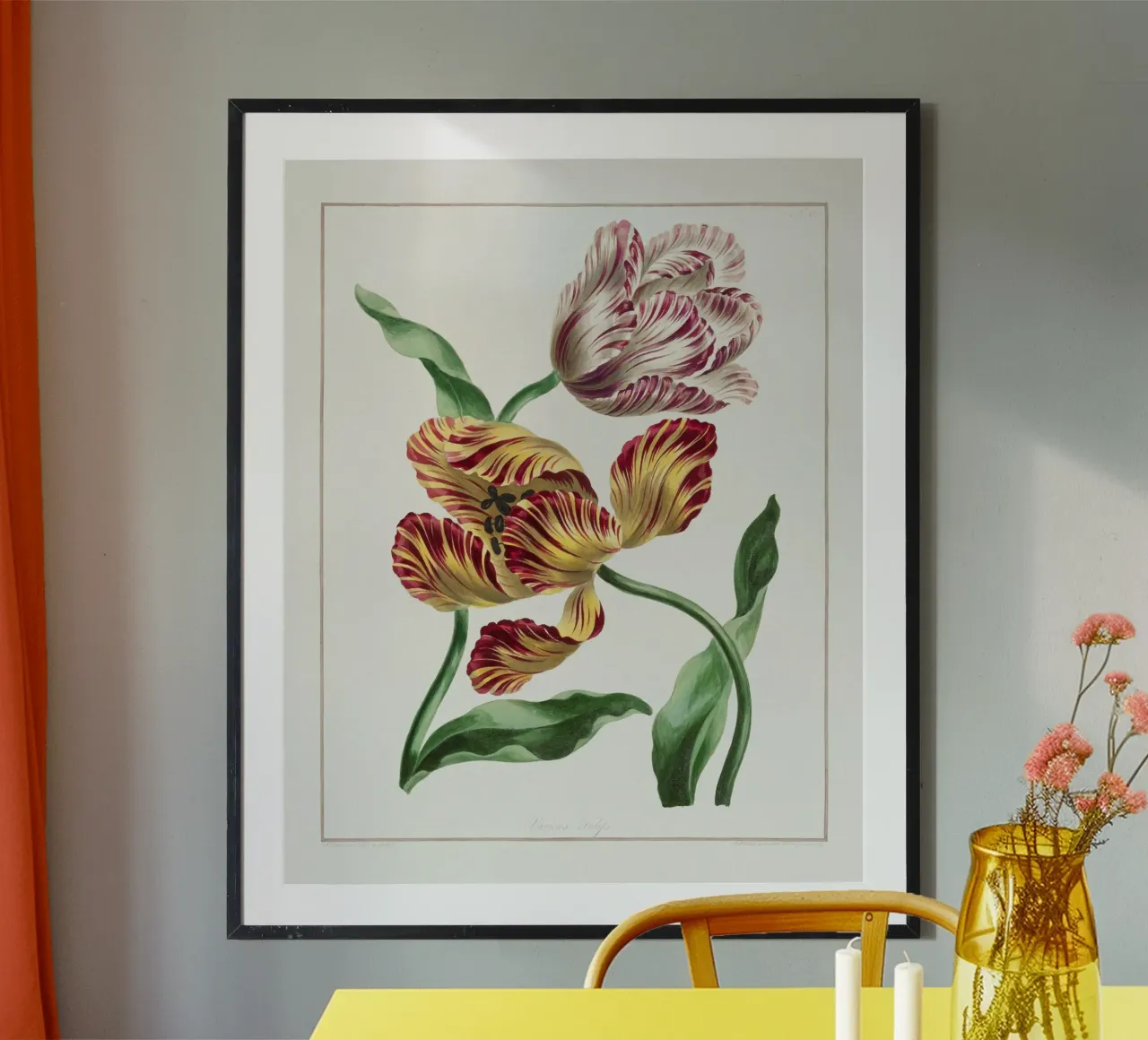 Tulips Vintage Botanical Illustration poster con telaio in alluminio da Pretty Flowers Vintage Botanicals