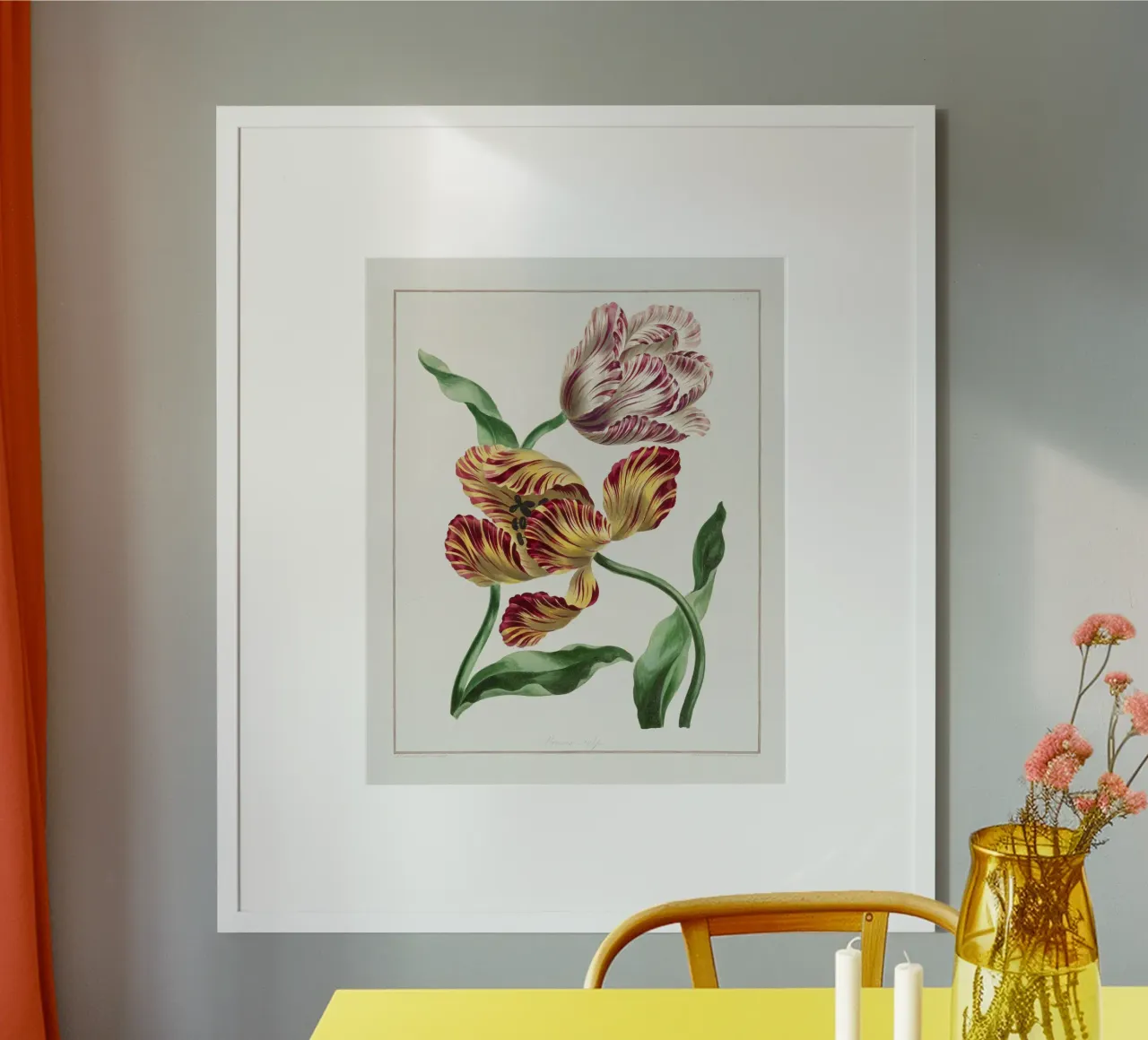 Tulips Vintage Botanical Illustration poster con telaio in alluminio da Pretty Flowers Vintage Botanicals