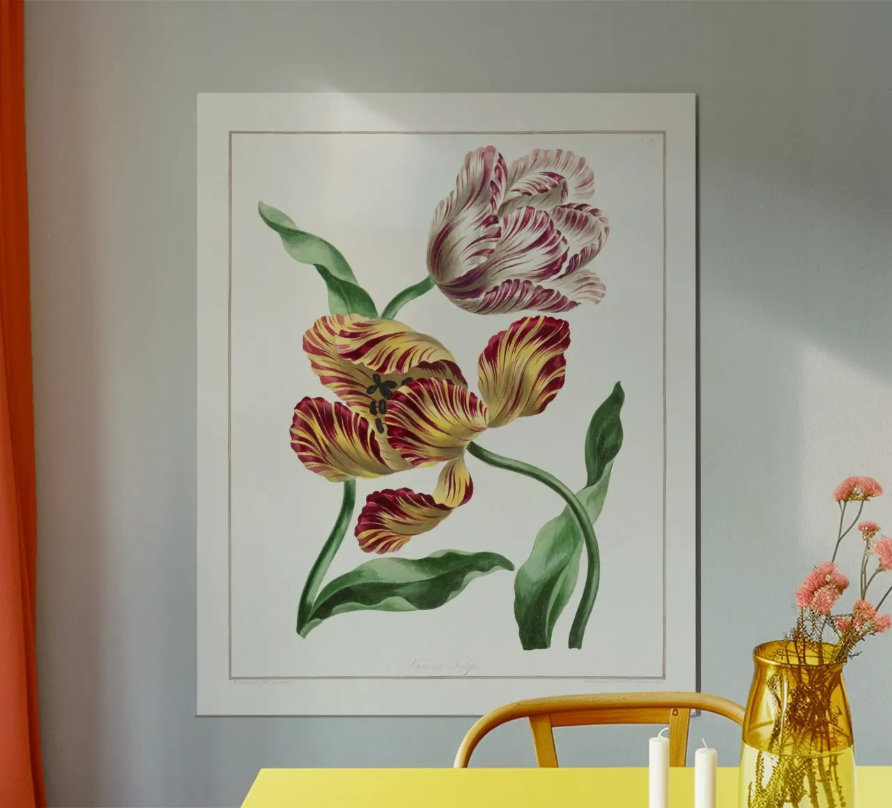 Tulips Vintage Botanical Illustration poster con telaio in alluminio da Pretty Flowers Vintage Botanicals