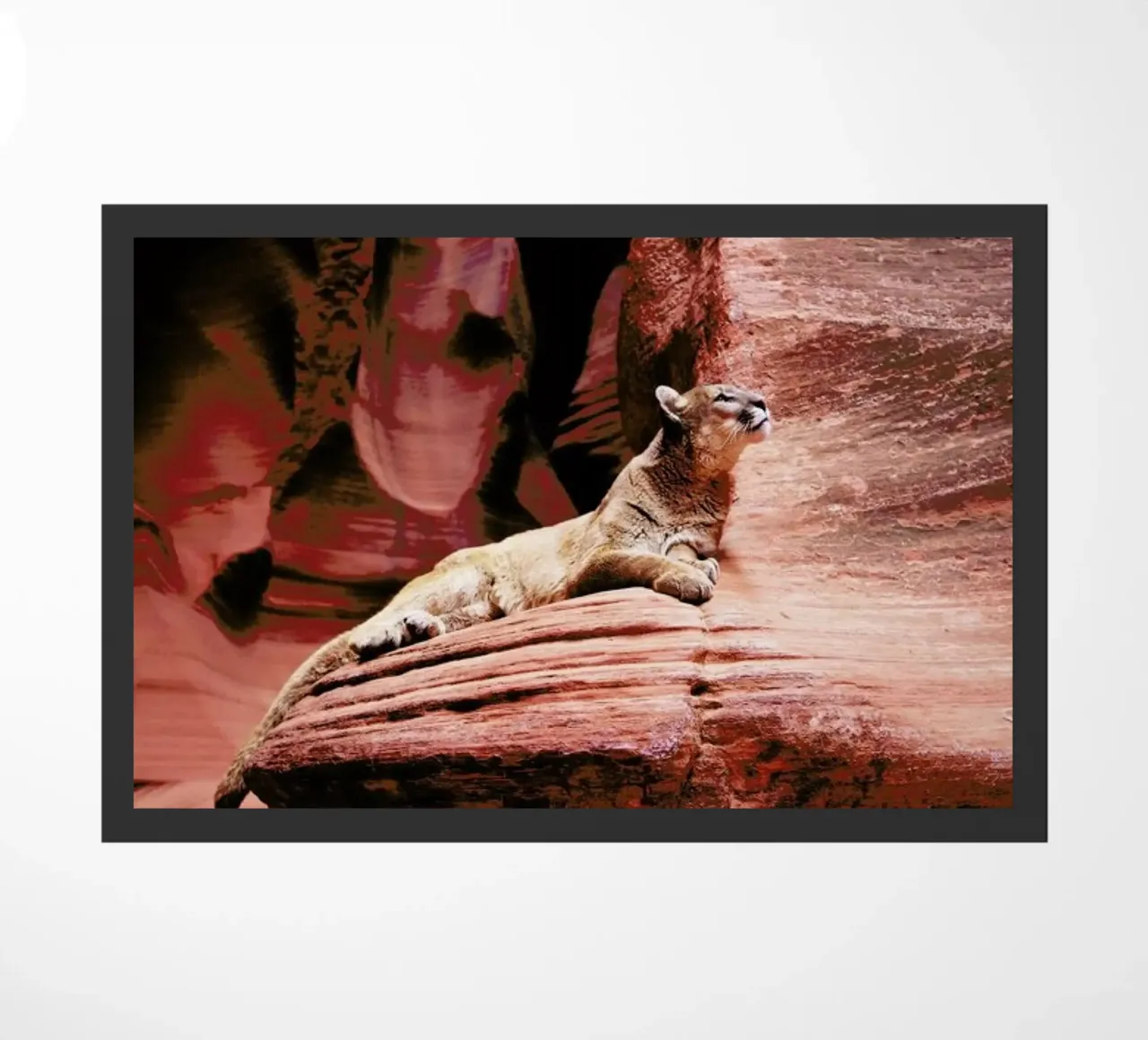 View from the Ledge doormat by Natural Kingdom
