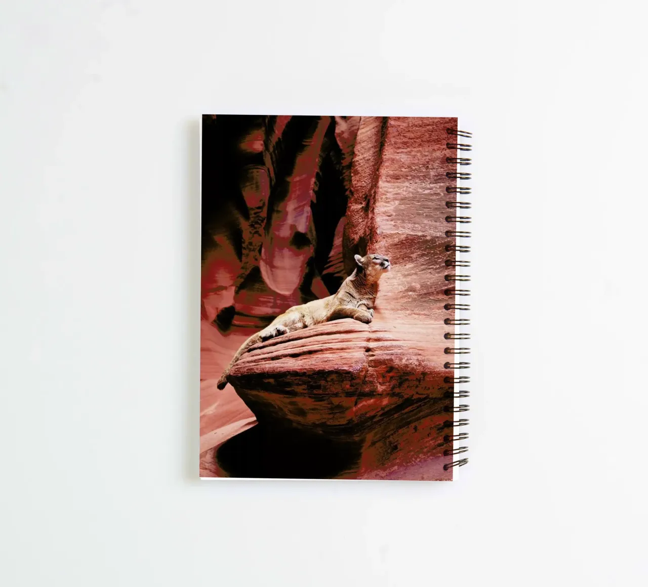 View from the Ledge spiral notebook by Natural Kingdom