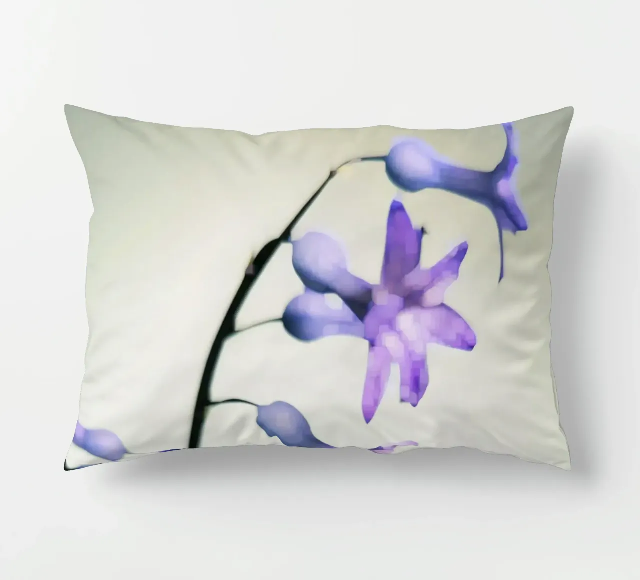 Hyacinth cuscino da Angelo Cerantola