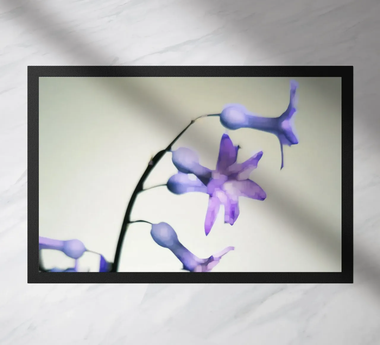 Hyacinth zerbino da Angelo Cerantola