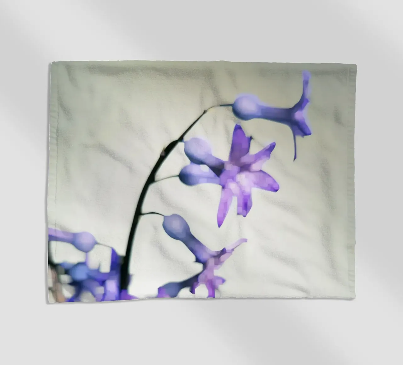 Hyacinth telo mare da Angelo Cerantola