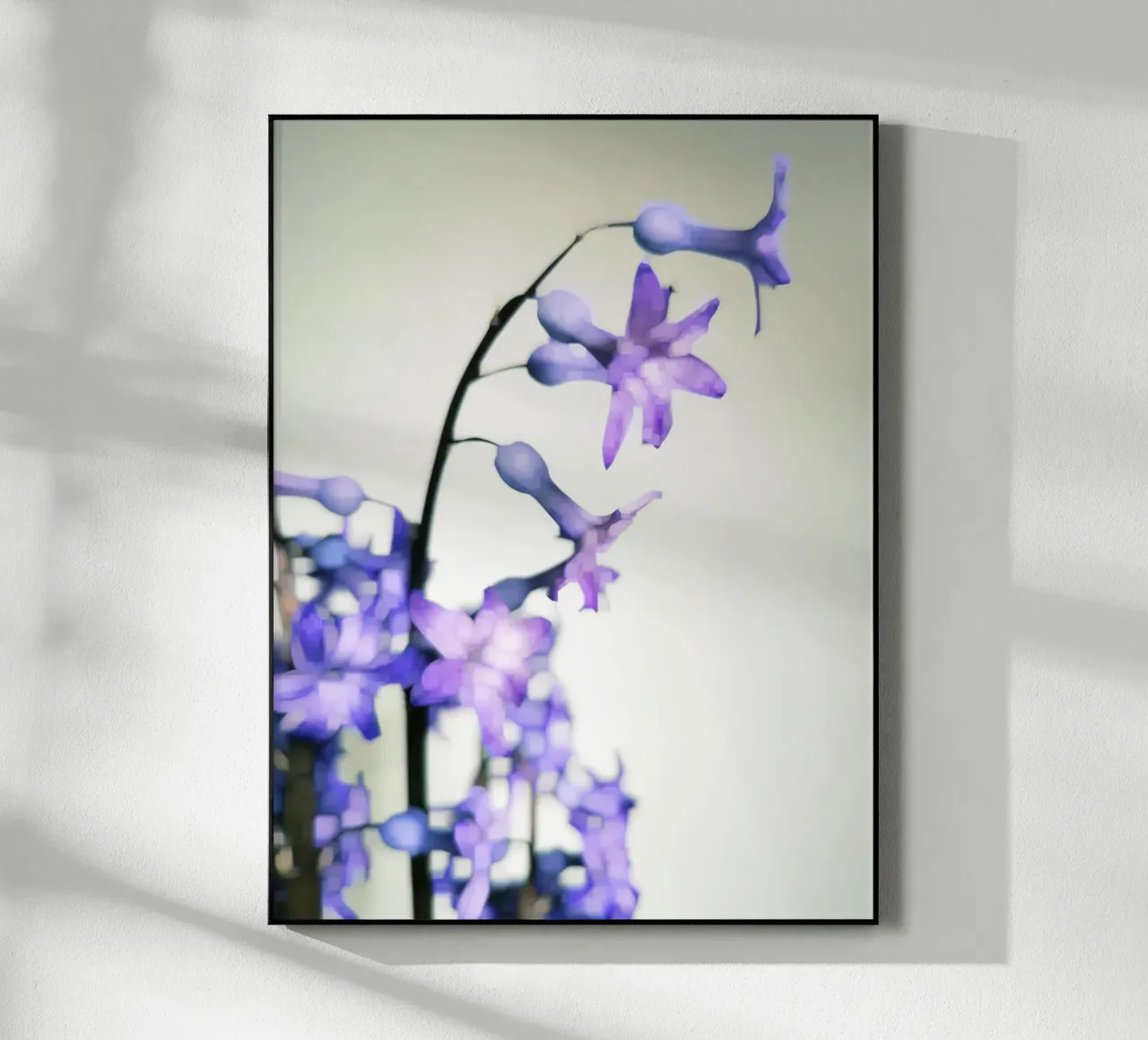 Hyacinth plexiglass da Angelo Cerantola